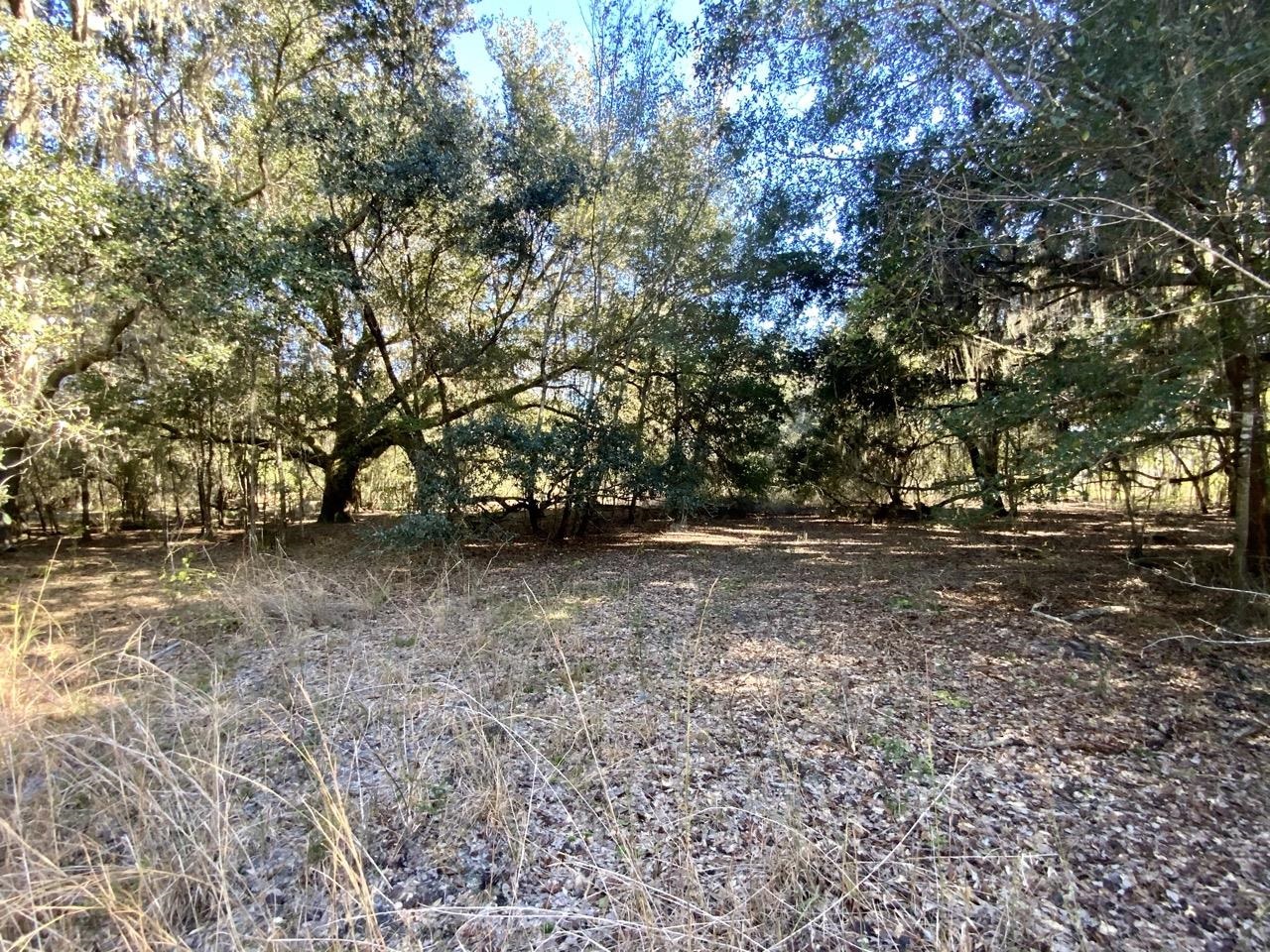 Vacant Bittersweet,MADISON COUNTY,Florida 32340,Lots and land,Bittersweet,367584