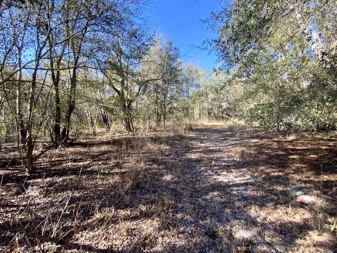 Vacant Bittersweet,MADISON COUNTY,Florida 32340,Lots and land,Bittersweet,367584