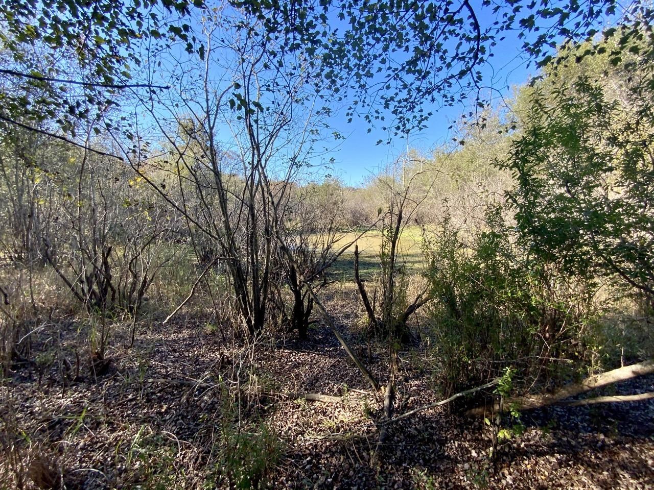 Vacant Bittersweet,MADISON COUNTY,Florida 32340,Lots and land,Bittersweet,367584