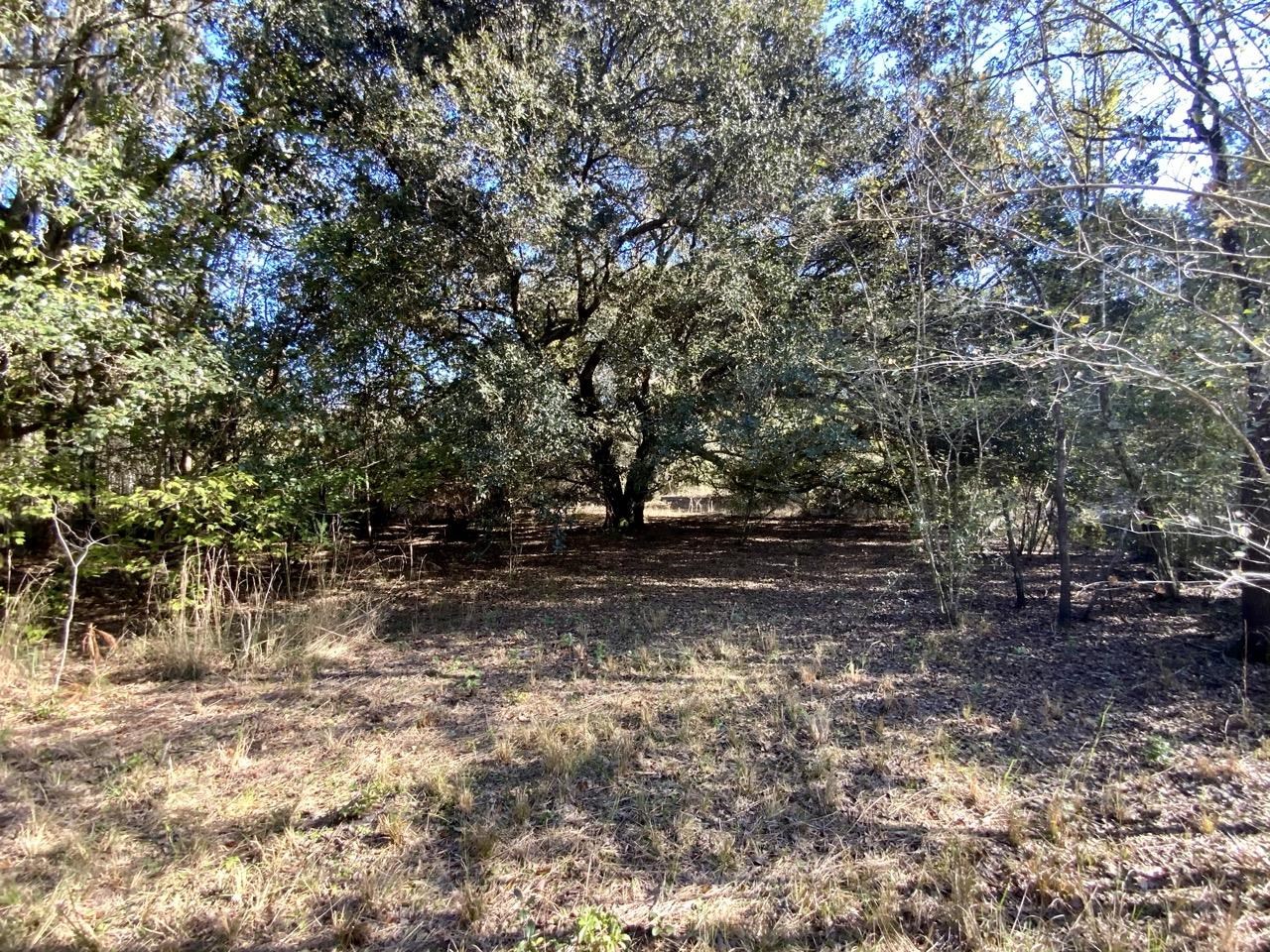 Vacant Bittersweet,MADISON COUNTY,Florida 32340,Lots and land,Bittersweet,367584