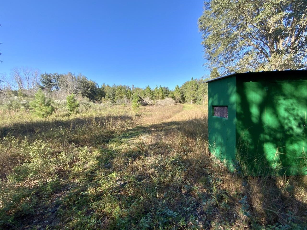 Vacant Bittersweet,MADISON COUNTY,Florida 32340,Lots and land,Bittersweet,367584