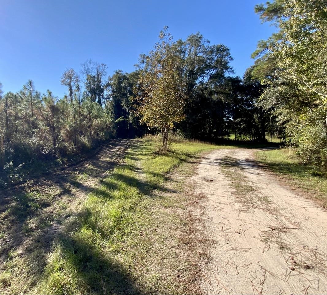 Vacant Bittersweet,MADISON COUNTY,Florida 32340,Lots and land,Bittersweet,367584