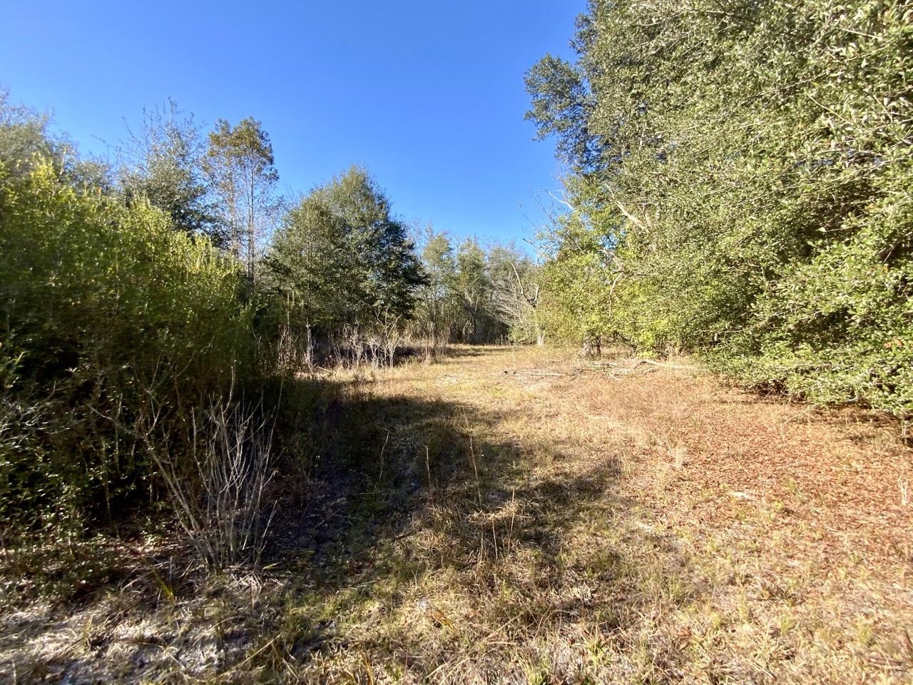 Vacant Bittersweet,MADISON COUNTY,Florida 32340,Lots and land,Bittersweet,367584