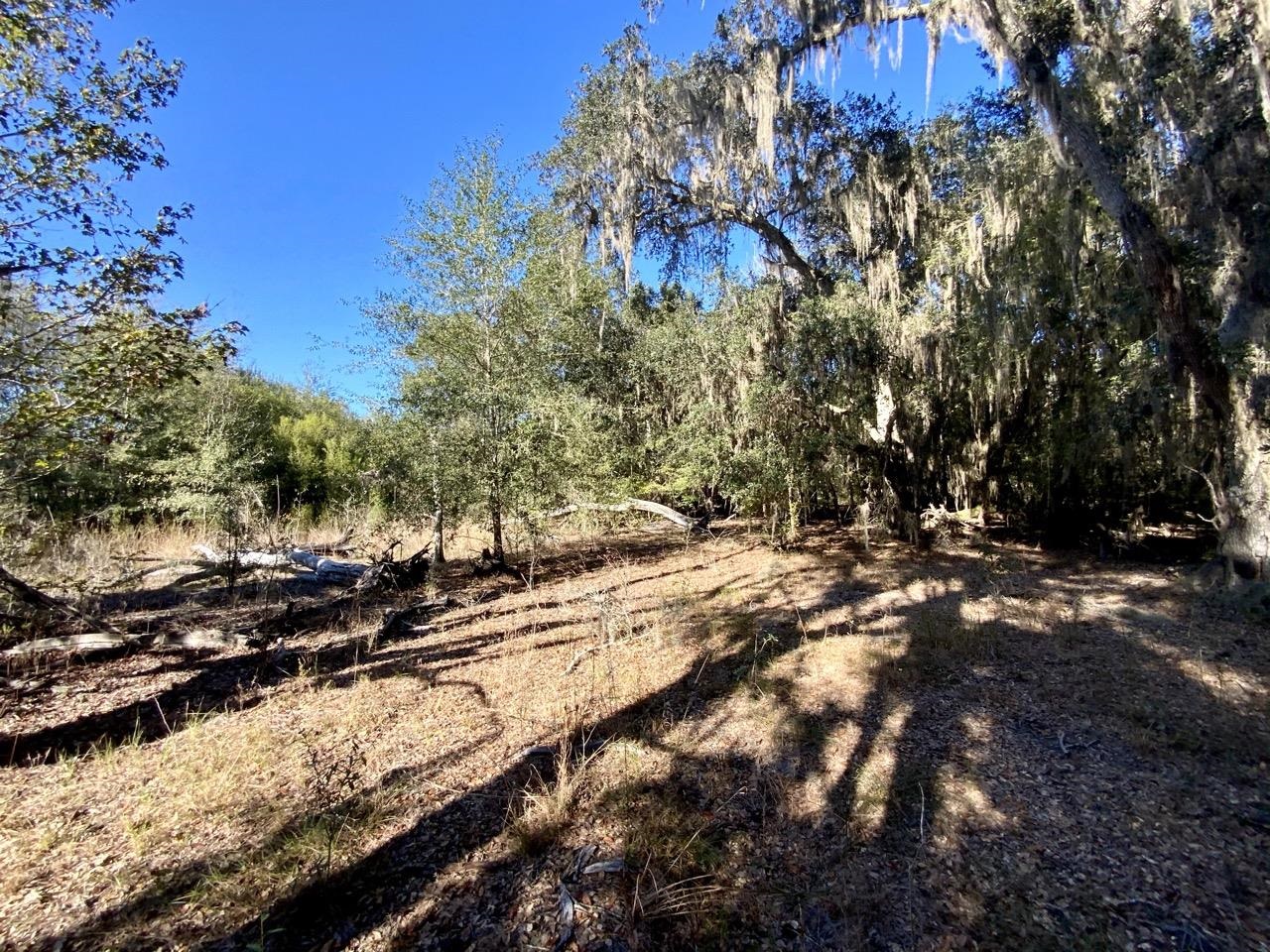 Vacant Bittersweet,MADISON COUNTY,Florida 32340,Lots and land,Bittersweet,367584