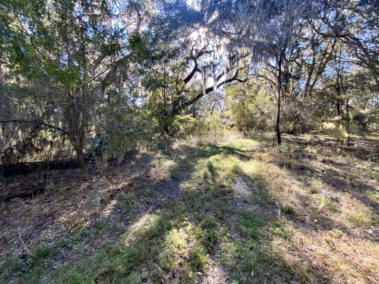 Vacant Bittersweet,MADISON COUNTY,Florida 32340,Lots and land,Bittersweet,367584