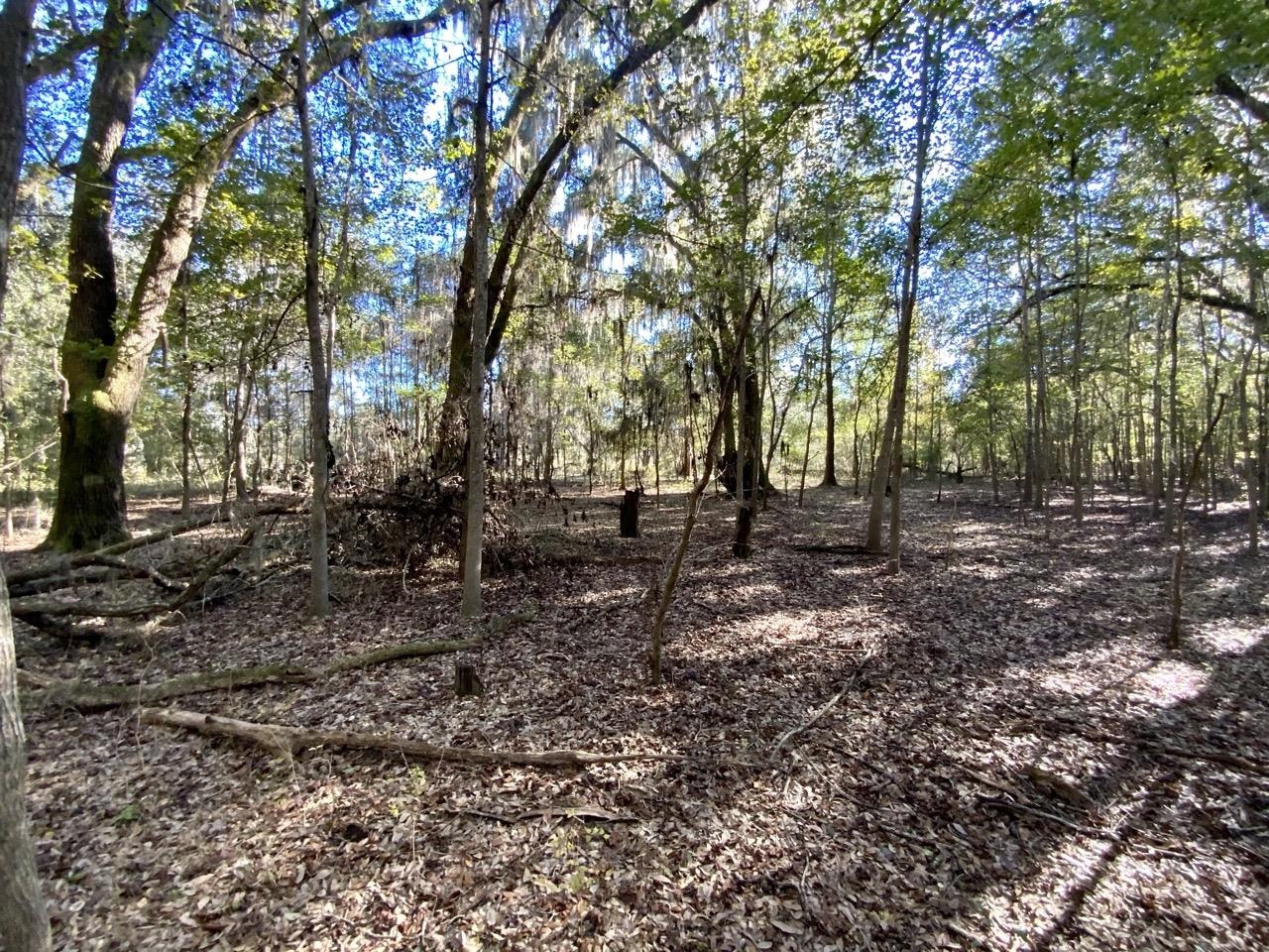 Vacant Bittersweet,MADISON COUNTY,Florida 32340,Lots and land,Bittersweet,367584
