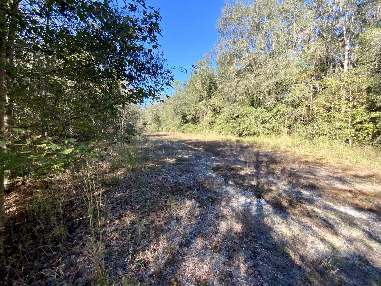 Vacant Bittersweet,MADISON COUNTY,Florida 32340,Lots and land,Bittersweet,367584