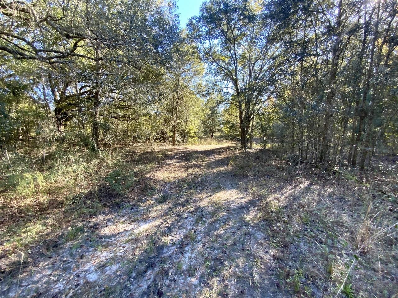 Vacant Bittersweet,MADISON COUNTY,Florida 32340,Lots and land,Bittersweet,367584