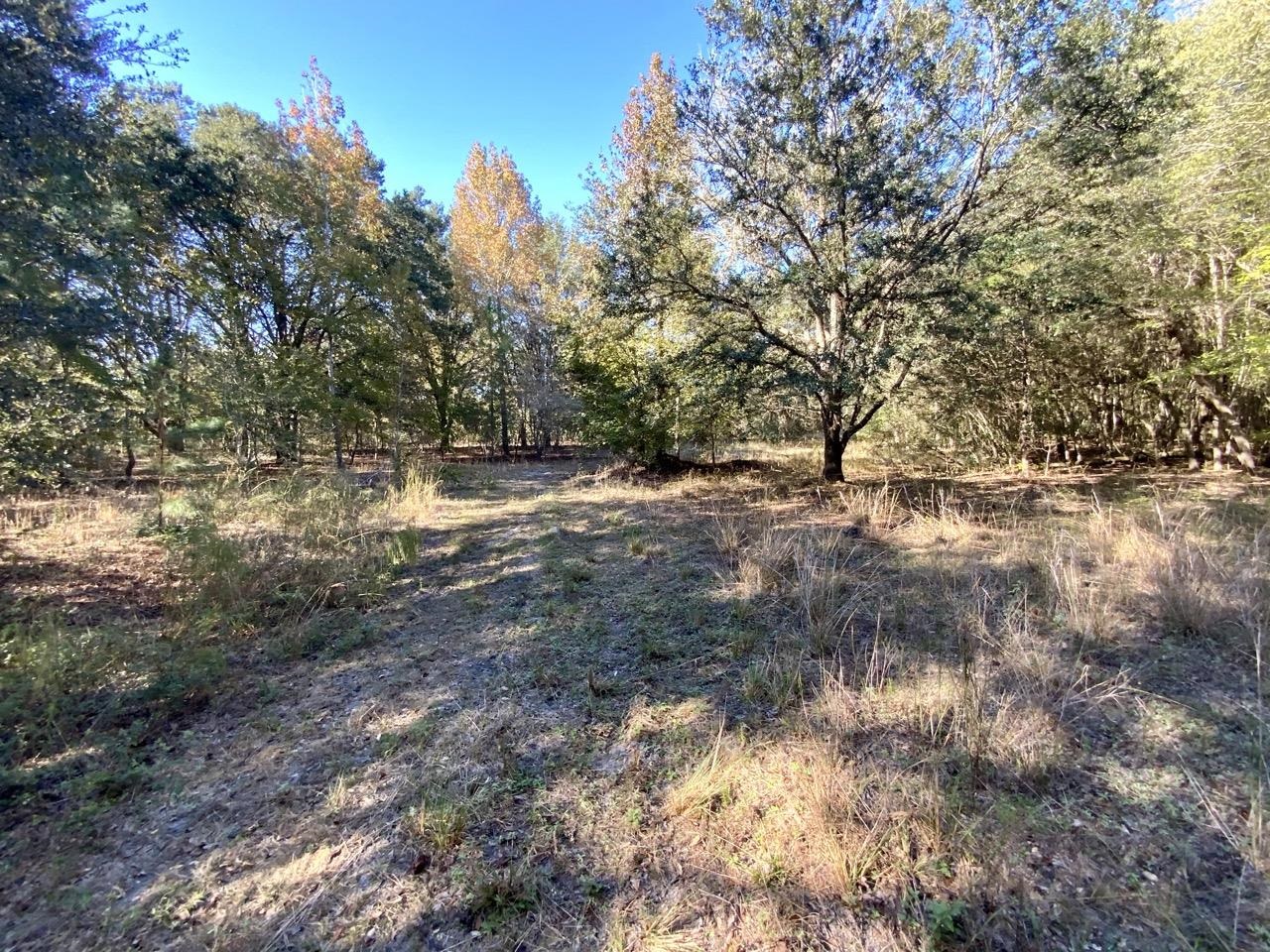 Vacant Bittersweet,MADISON COUNTY,Florida 32340,Lots and land,Bittersweet,367584