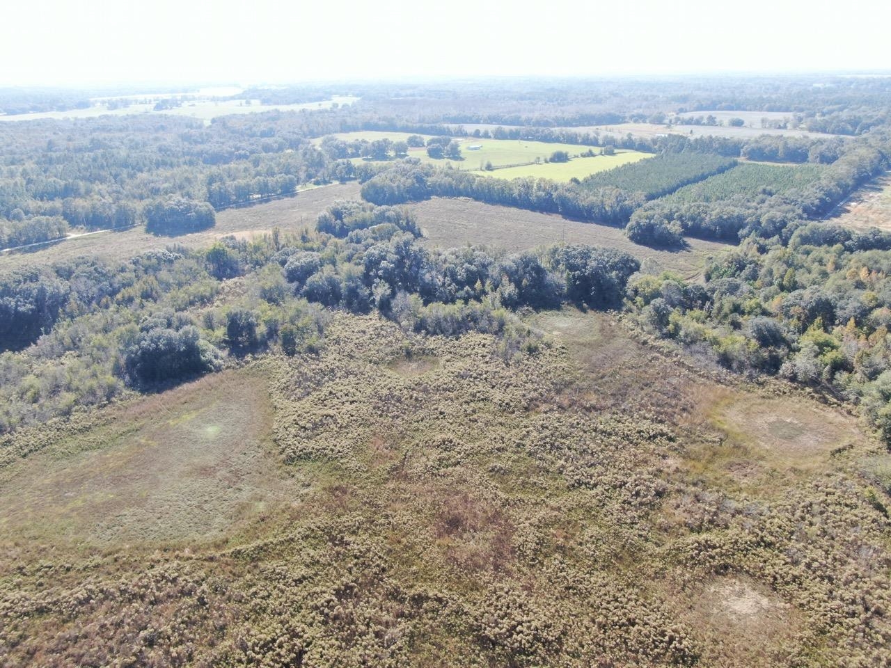 Vacant Bittersweet,MADISON COUNTY,Florida 32340,Lots and land,Bittersweet,367584