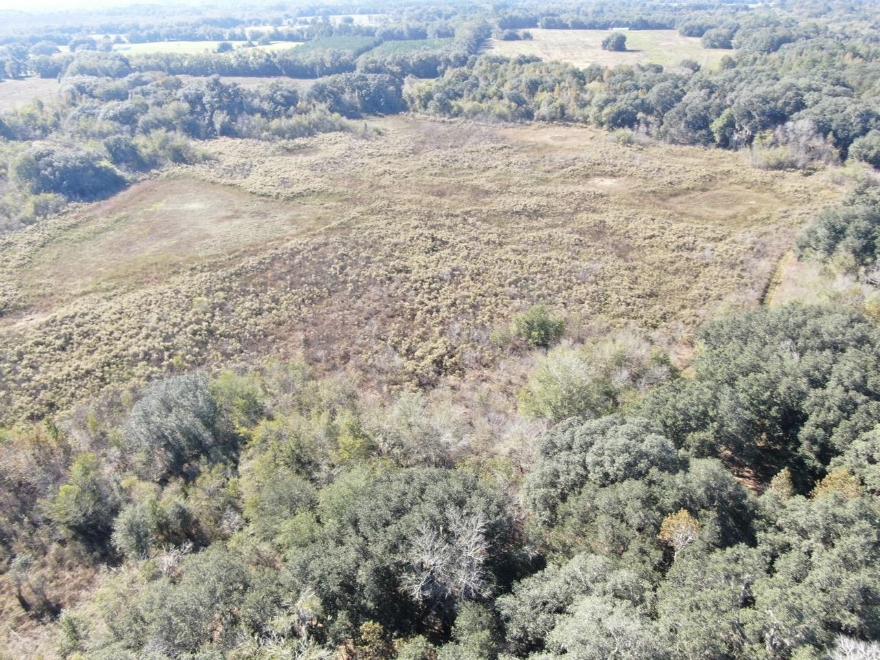 Vacant Bittersweet,MADISON COUNTY,Florida 32340,Lots and land,Bittersweet,367584