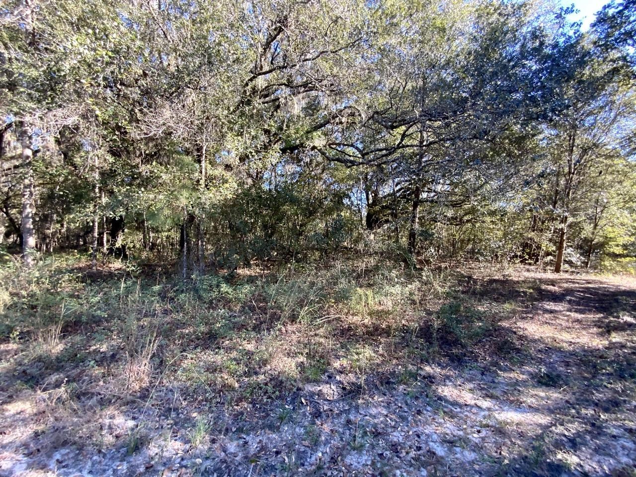 Vacant Bittersweet,MADISON COUNTY,Florida 32340,Lots and land,Bittersweet,367584