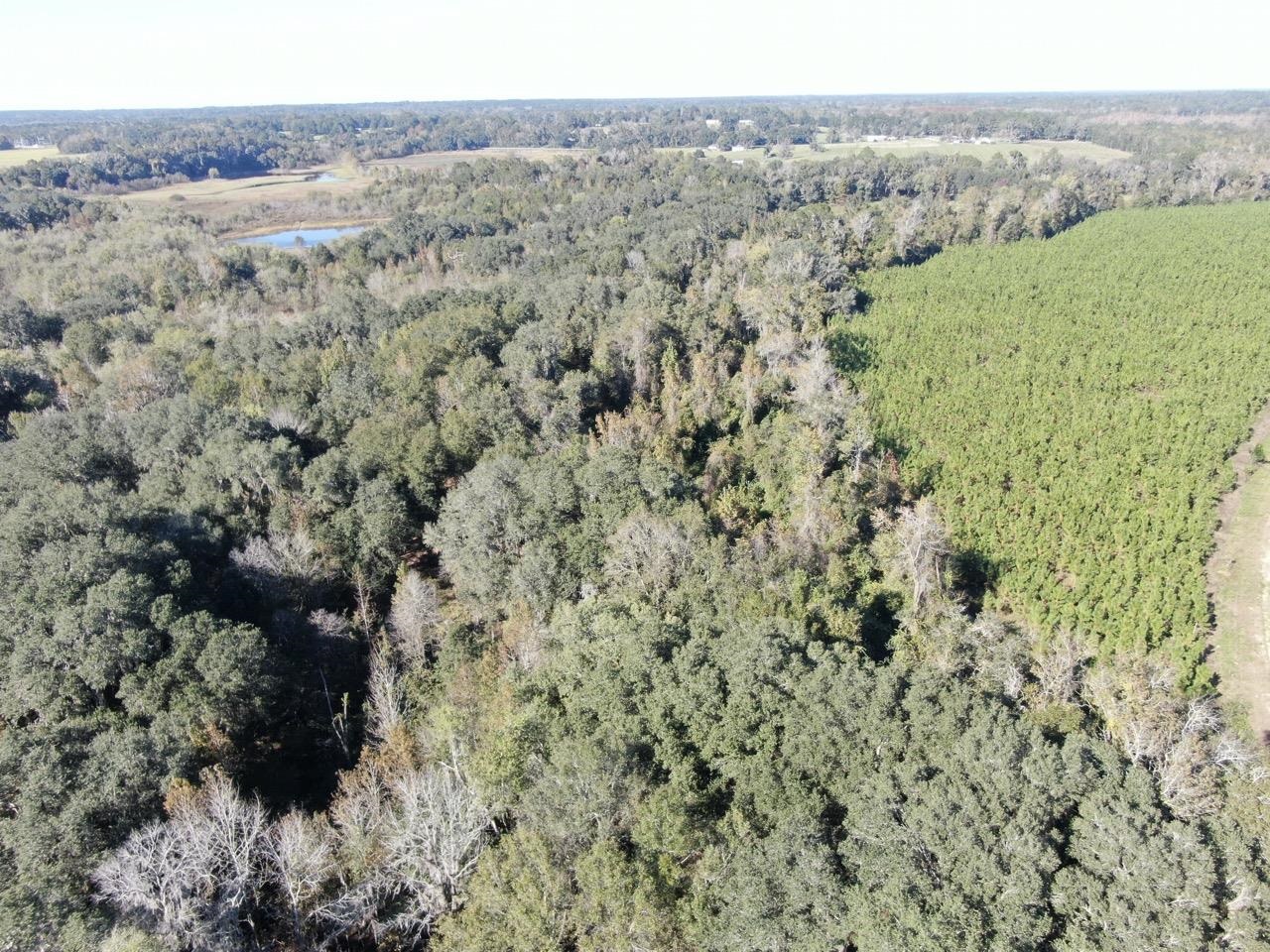 Vacant Bittersweet,MADISON COUNTY,Florida 32340,Lots and land,Bittersweet,367584