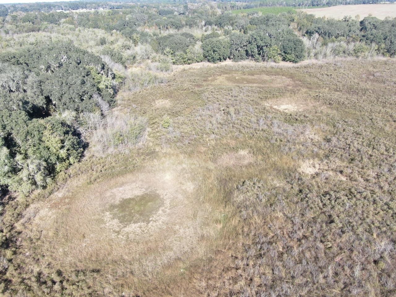 Vacant Bittersweet,MADISON COUNTY,Florida 32340,Lots and land,Bittersweet,367584