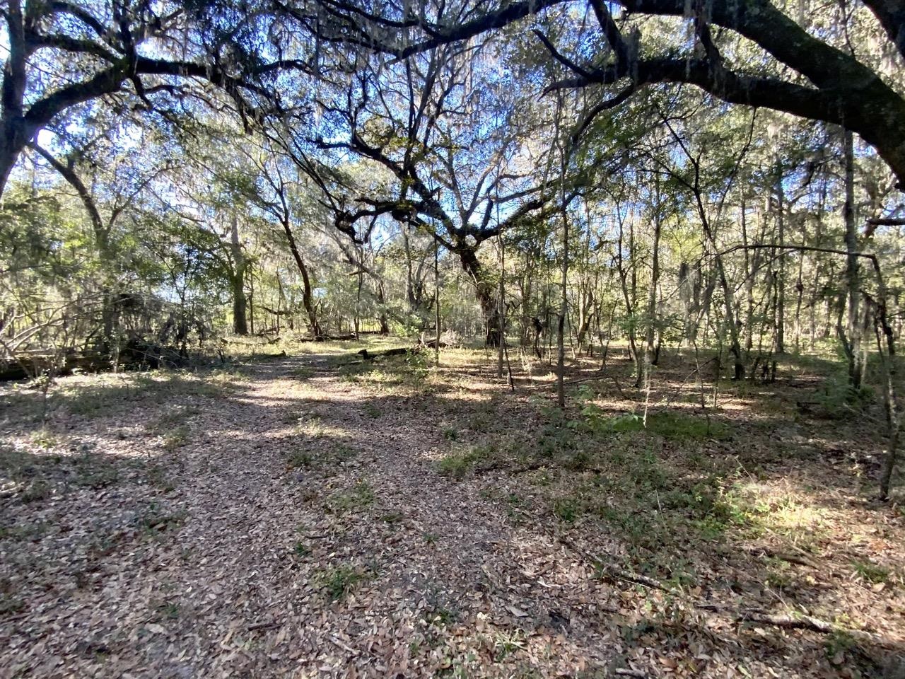 Vacant Bittersweet,MADISON COUNTY,Florida 32340,Lots and land,Bittersweet,367584