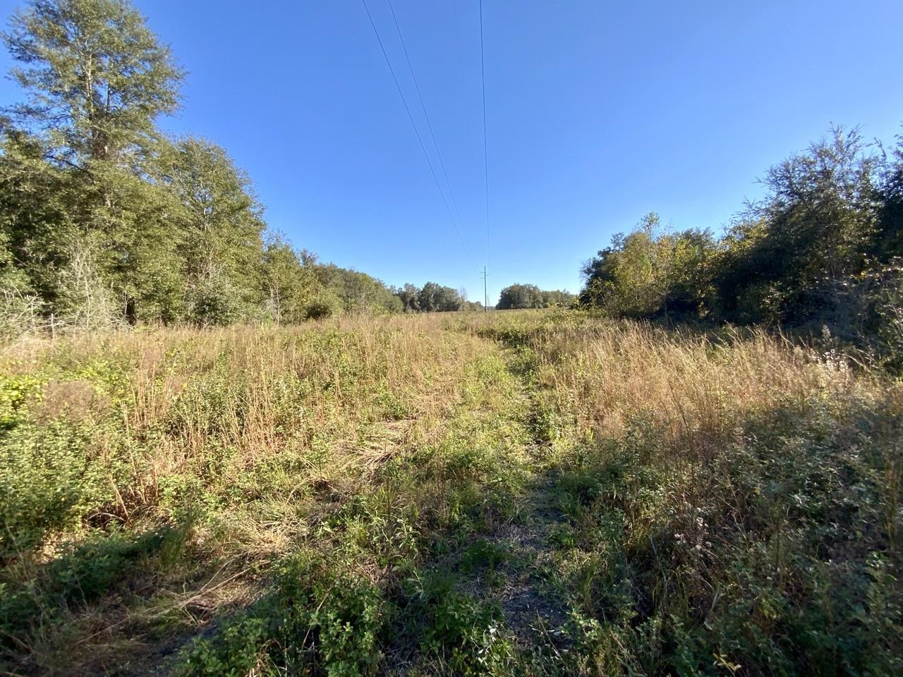 Vacant Bittersweet,MADISON COUNTY,Florida 32340,Lots and land,Bittersweet,367584