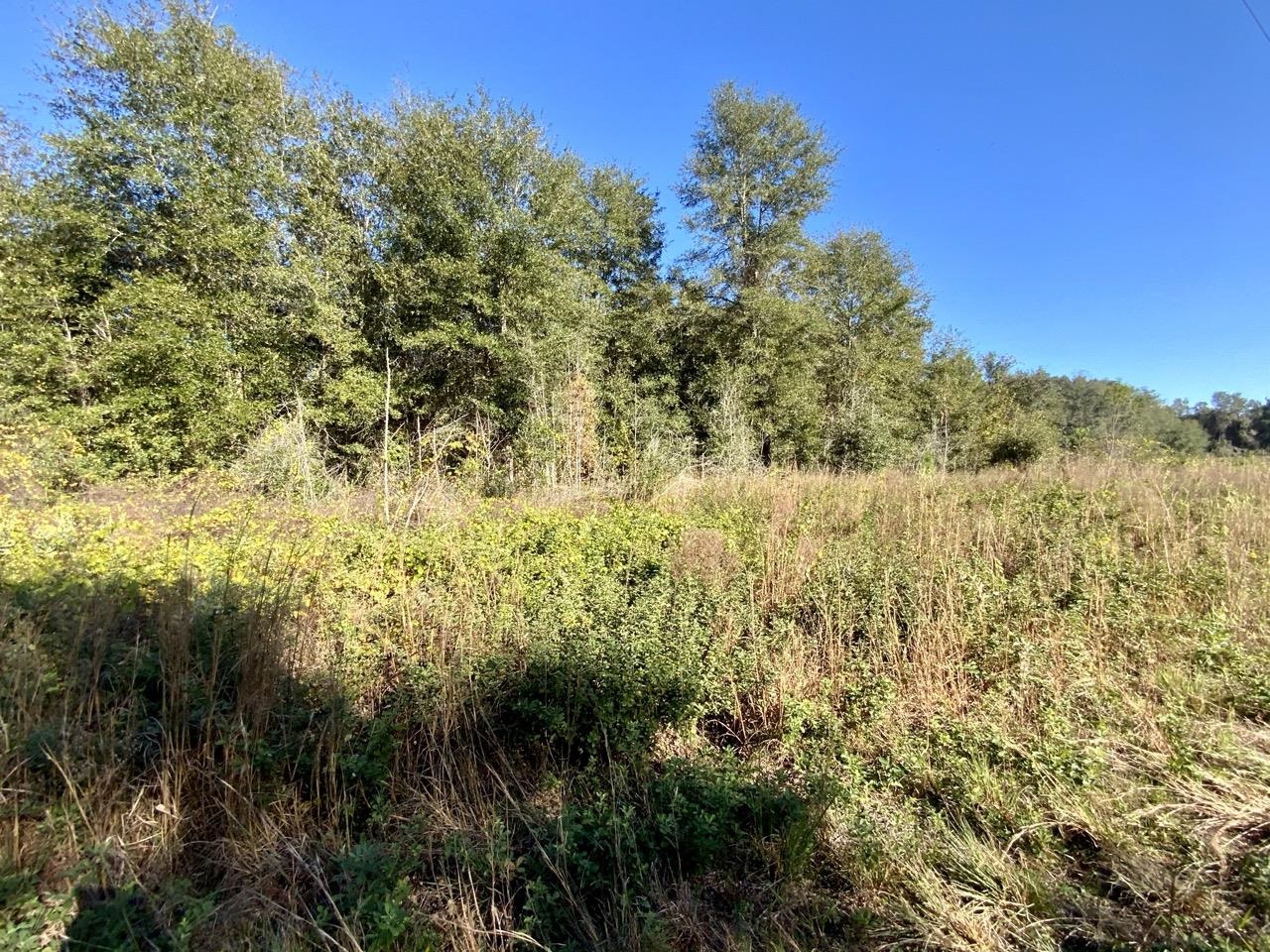 Vacant Bittersweet,MADISON COUNTY,Florida 32340,Lots and land,Bittersweet,367584