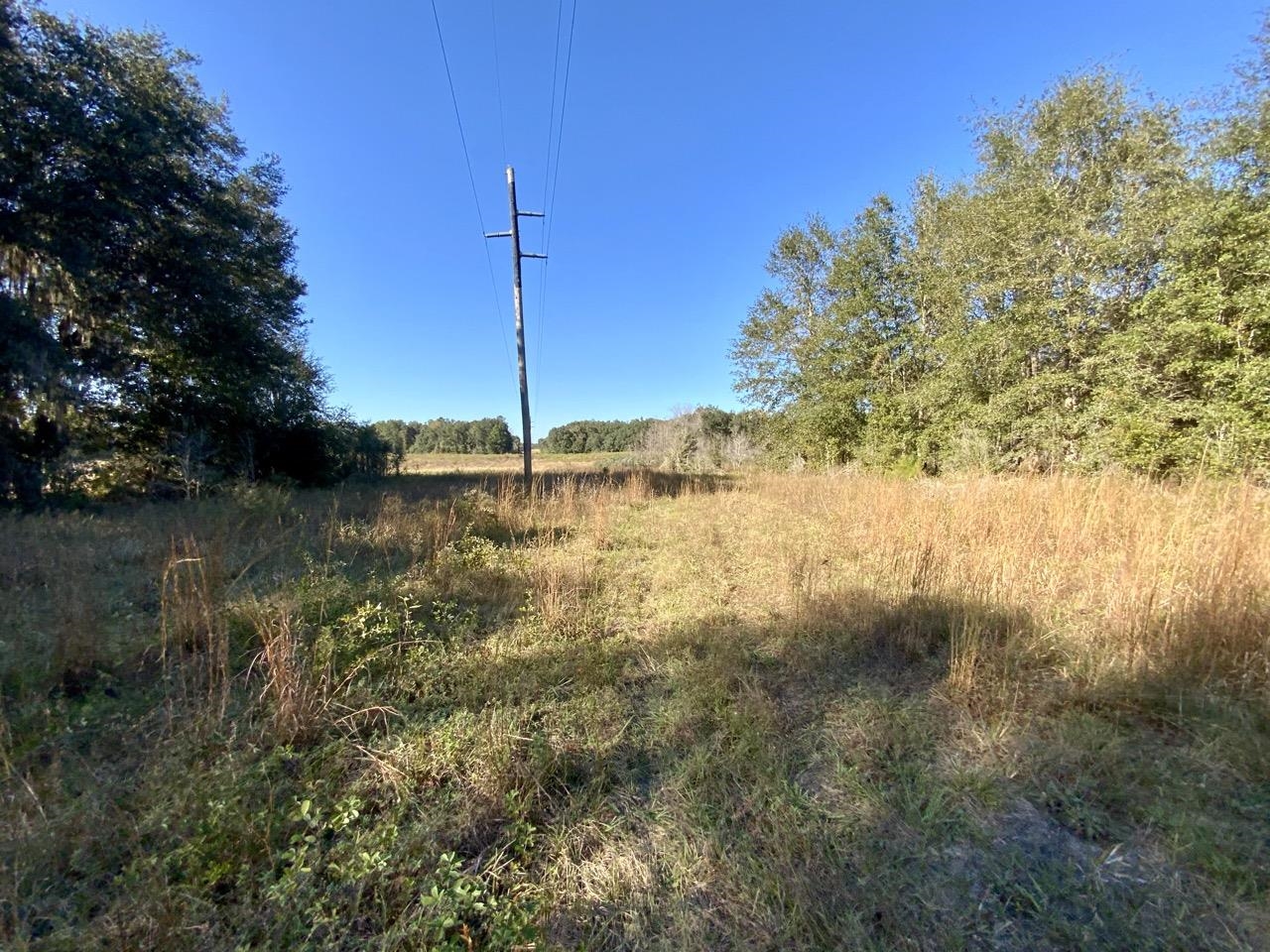 Vacant Bittersweet,MADISON COUNTY,Florida 32340,Lots and land,Bittersweet,367584