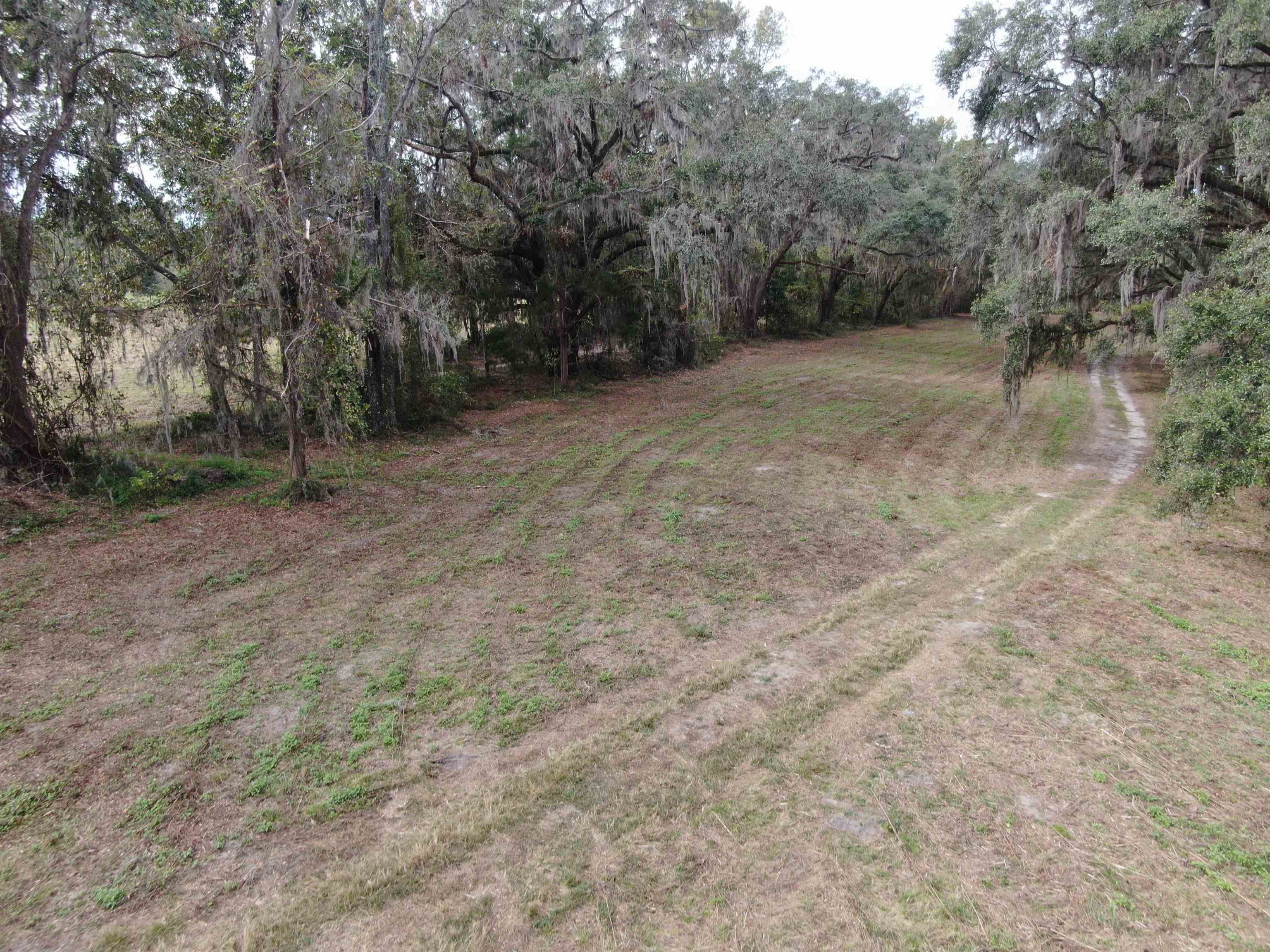 Vacant Coachwhip,MADISON,Florida 32340,Lots and land,Coachwhip,367614