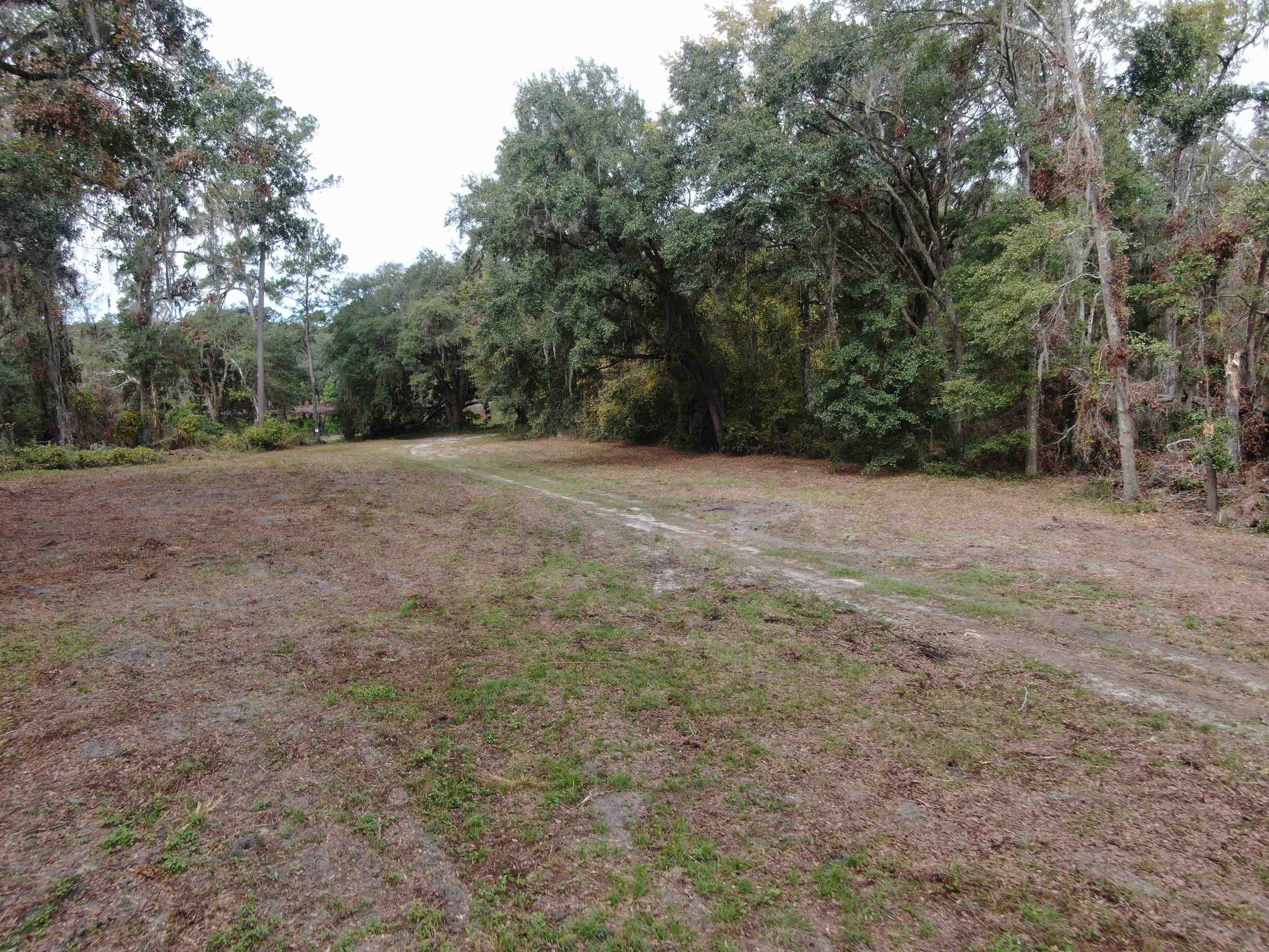 Vacant Coachwhip,MADISON,Florida 32340,Lots and land,Coachwhip,367614