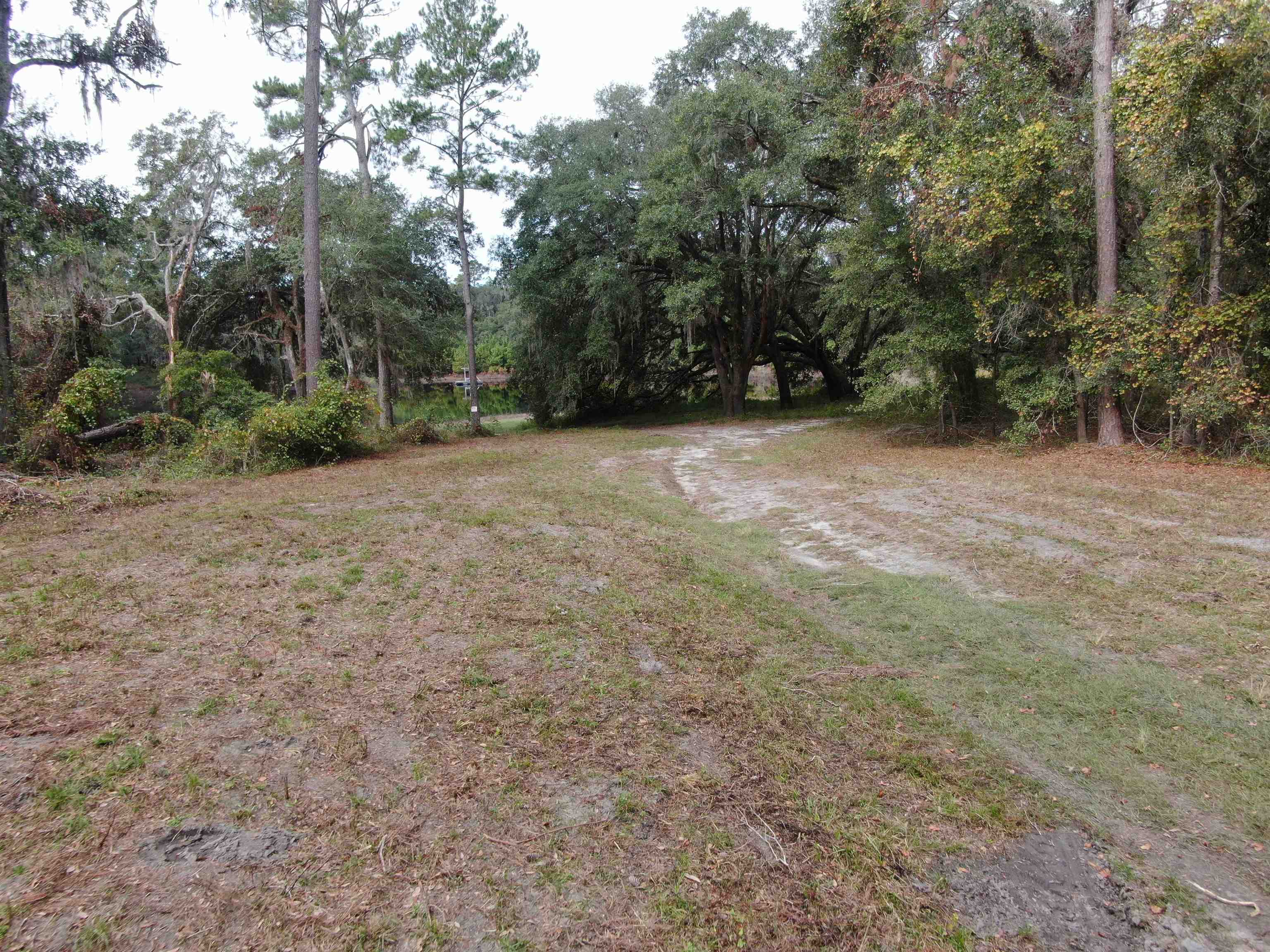 Vacant Coachwhip,MADISON,Florida 32340,Lots and land,Coachwhip,367614