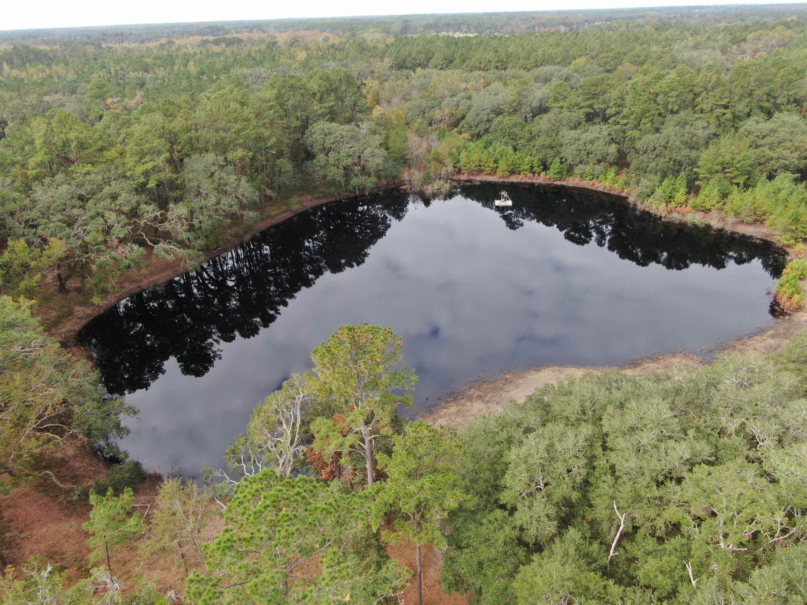 Vacant Coachwhip,MADISON,Florida 32340,Lots and land,Coachwhip,367614