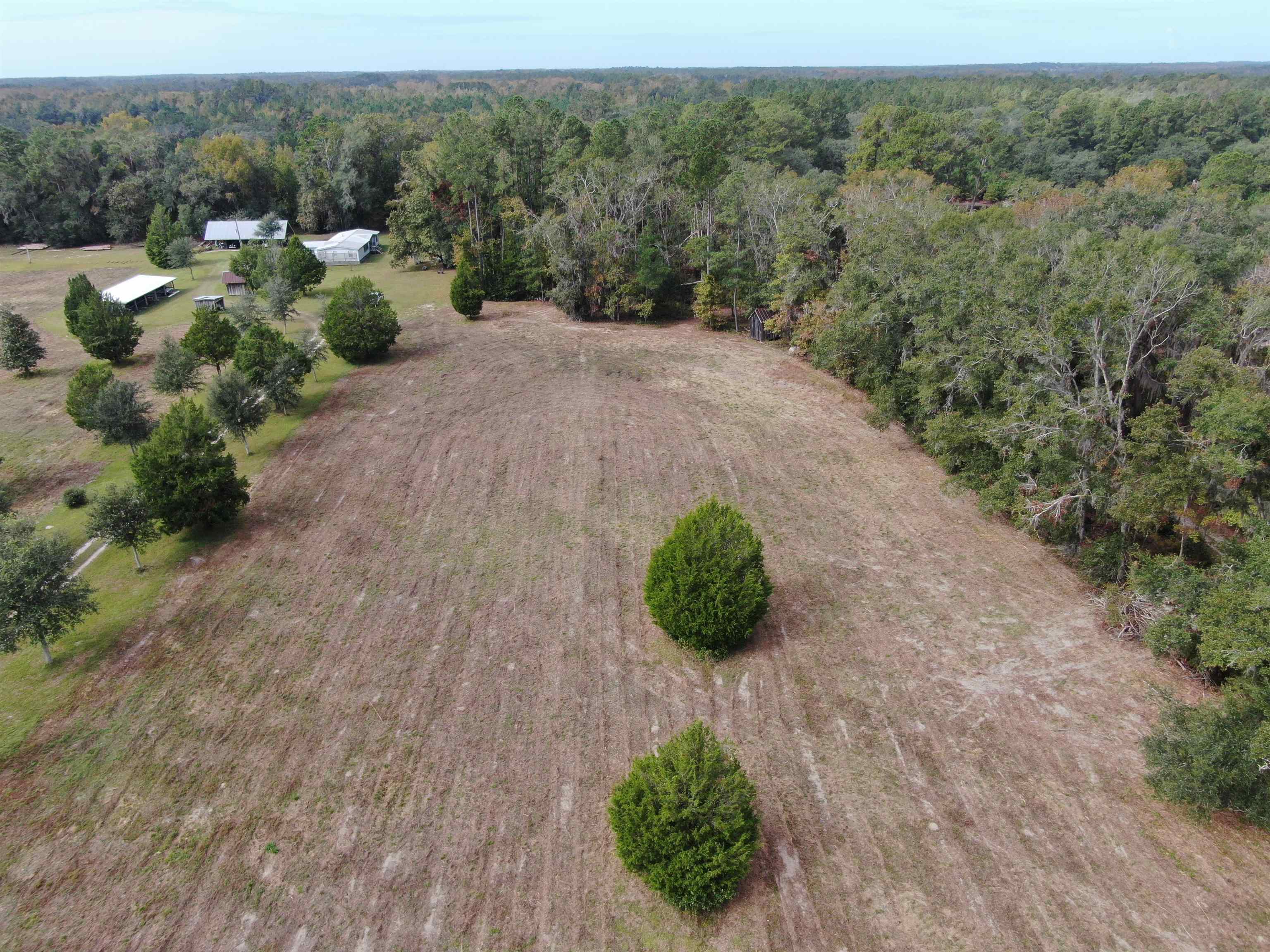 Vacant Coachwhip,MADISON,Florida 32340,Lots and land,Coachwhip,367614