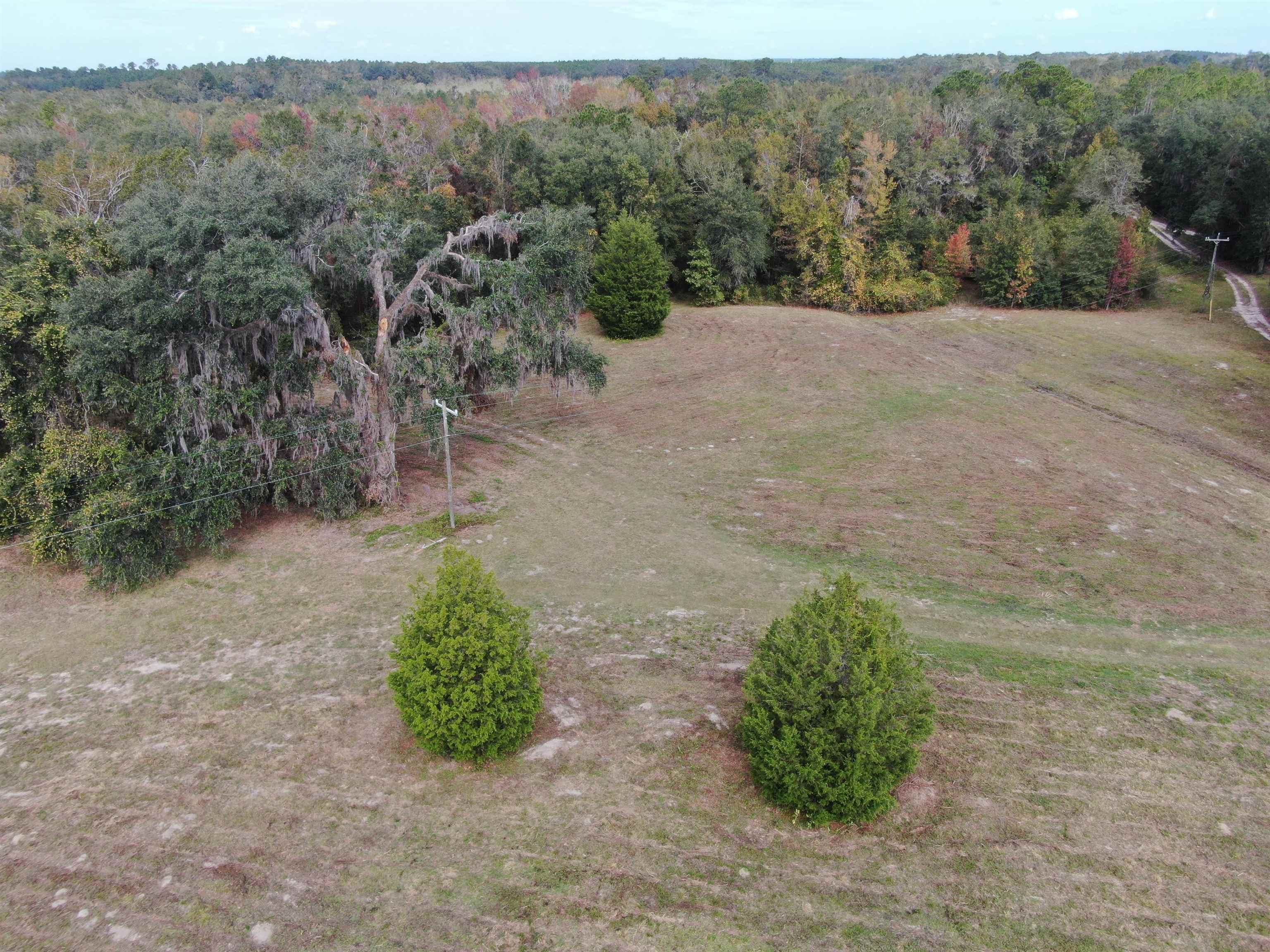 Vacant Coachwhip,MADISON,Florida 32340,Lots and land,Coachwhip,367614