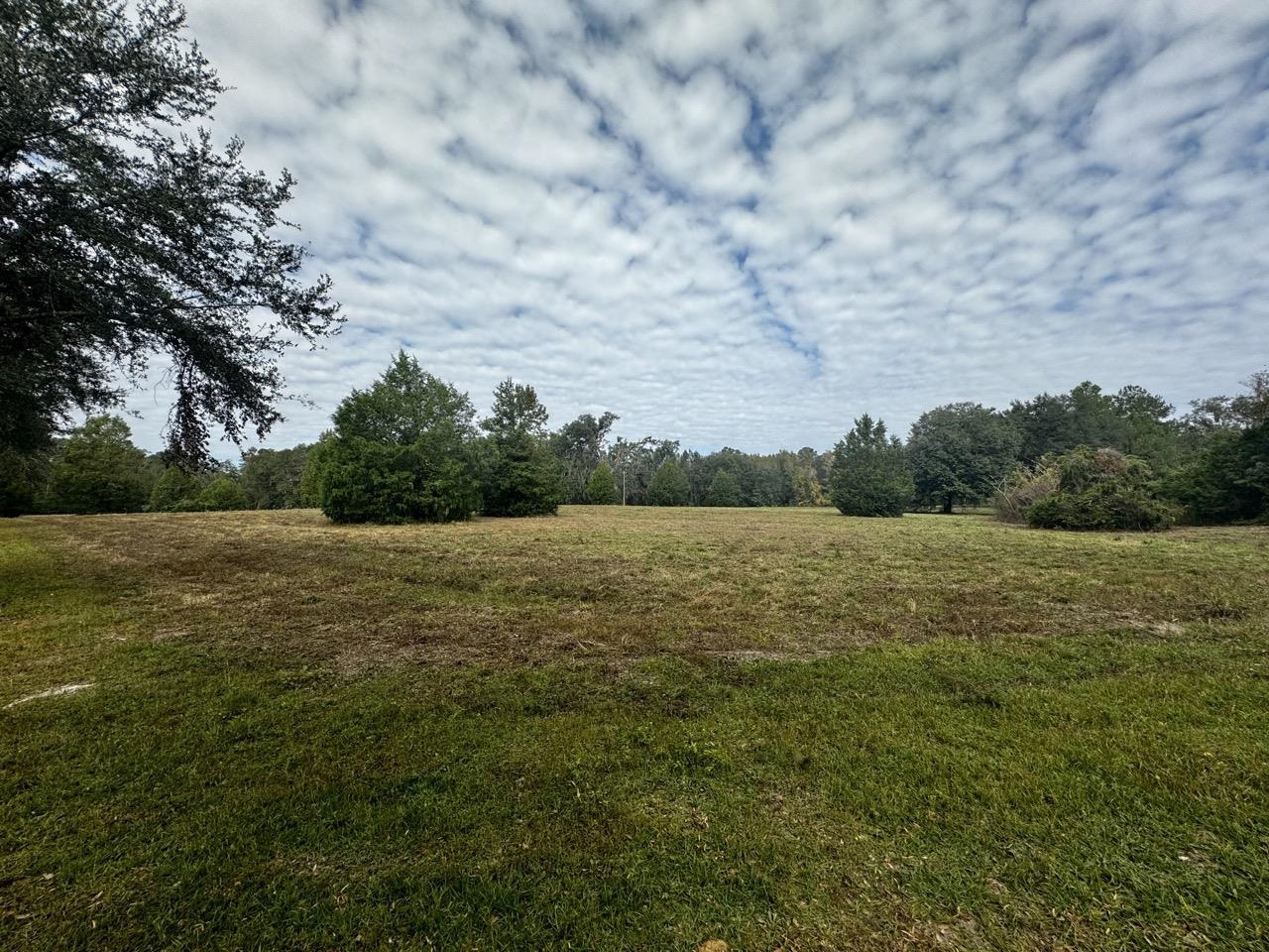 Vacant Coachwhip,MADISON,Florida 32340,Lots and land,Coachwhip,367614