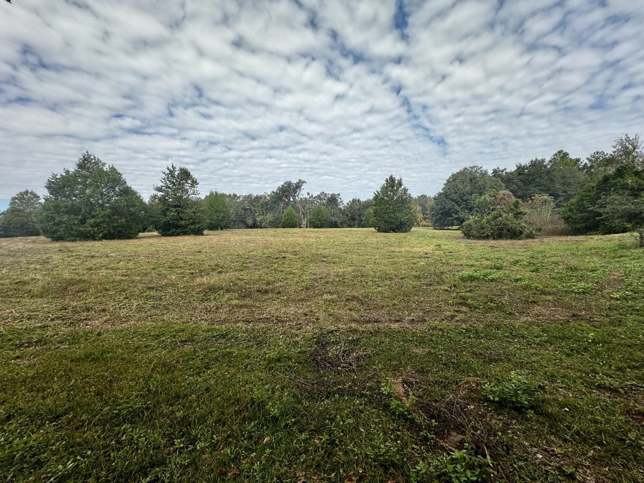 Vacant Coachwhip,MADISON,Florida 32340,Lots and land,Coachwhip,367614