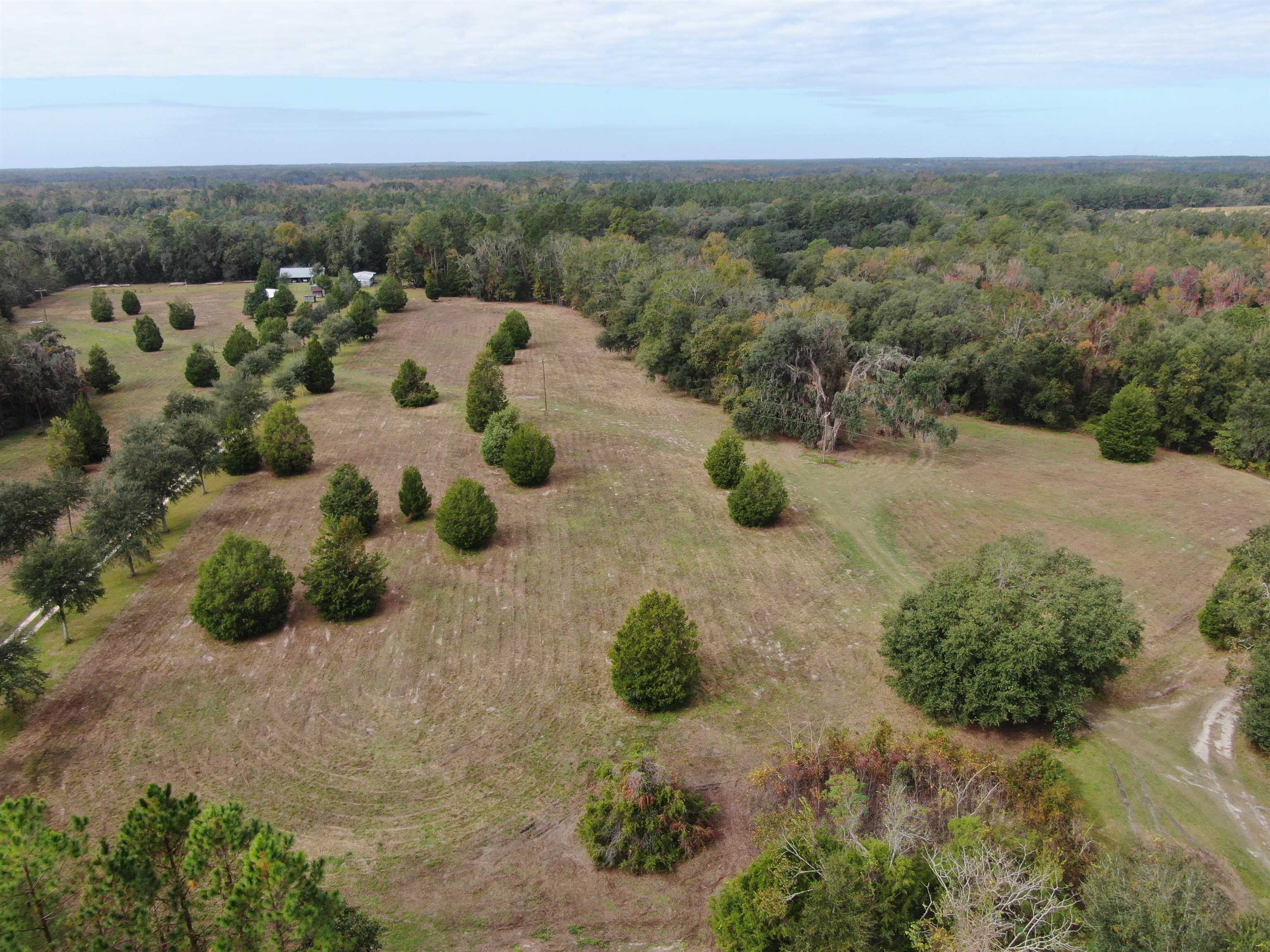 Vacant Coachwhip,MADISON,Florida 32340,Lots and land,Coachwhip,367614