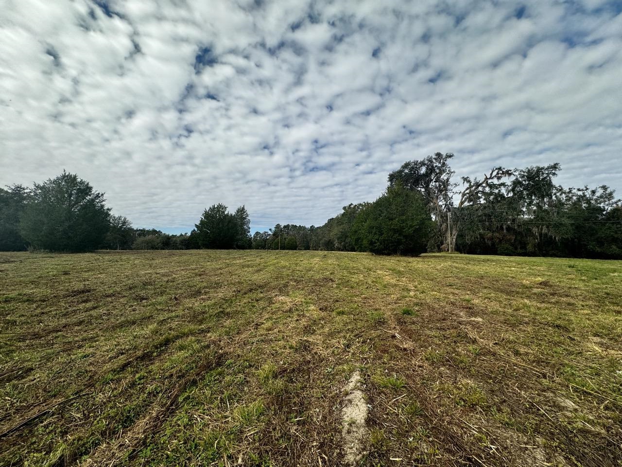 Vacant Coachwhip,MADISON,Florida 32340,Lots and land,Coachwhip,367614