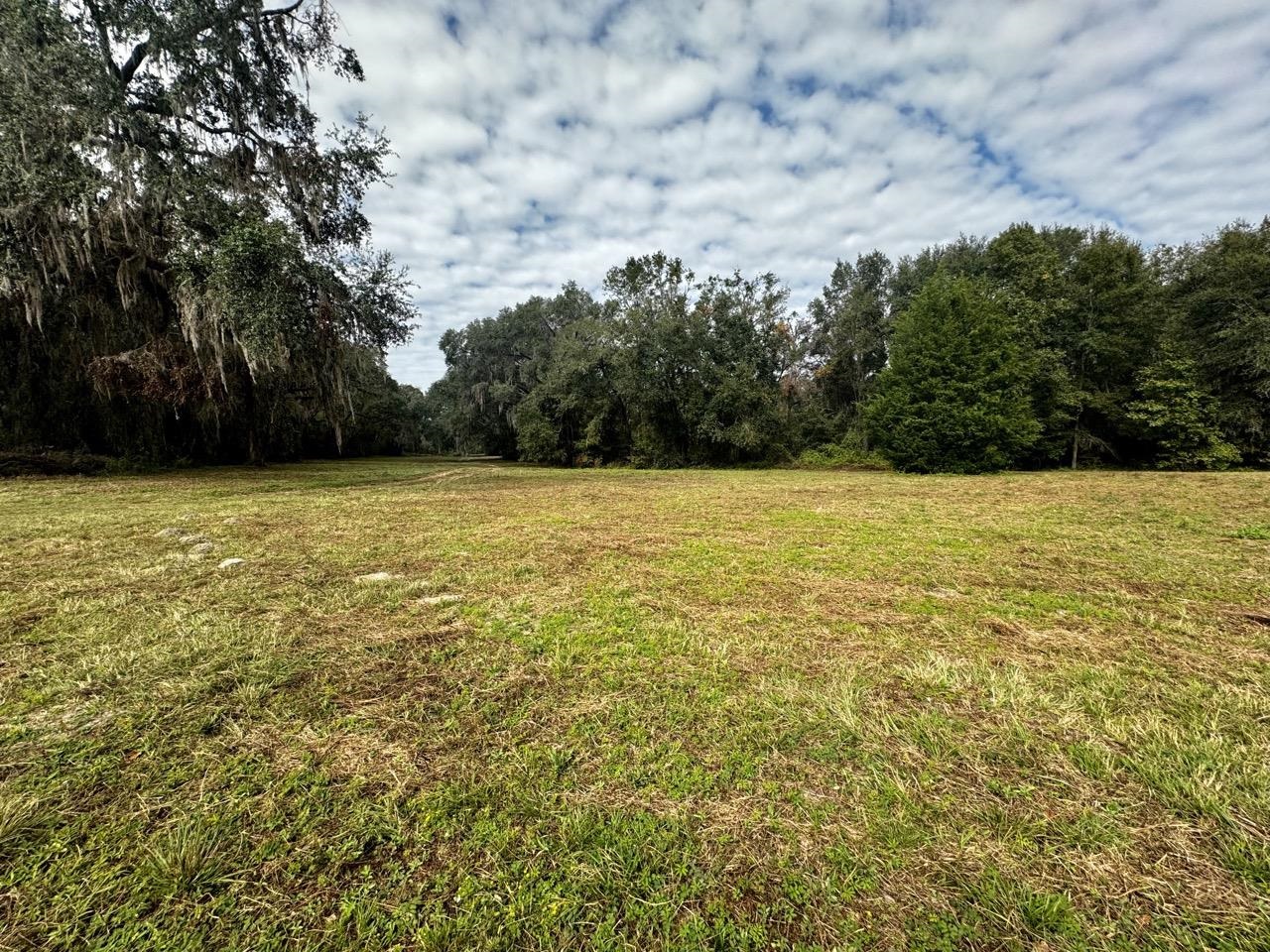 Vacant Coachwhip,MADISON,Florida 32340,Lots and land,Coachwhip,367614