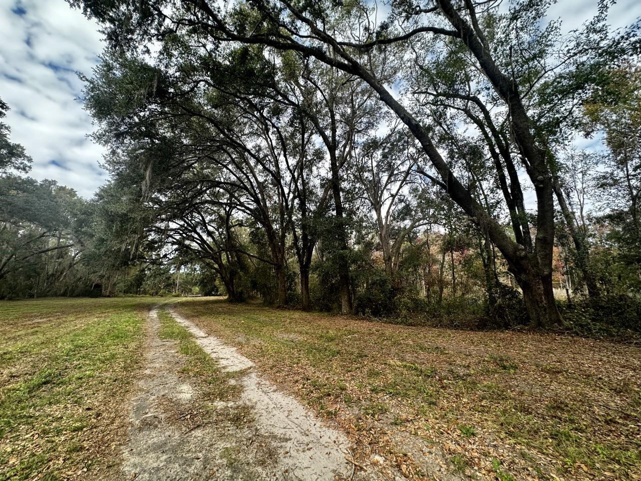 Vacant Coachwhip,MADISON,Florida 32340,Lots and land,Coachwhip,367614