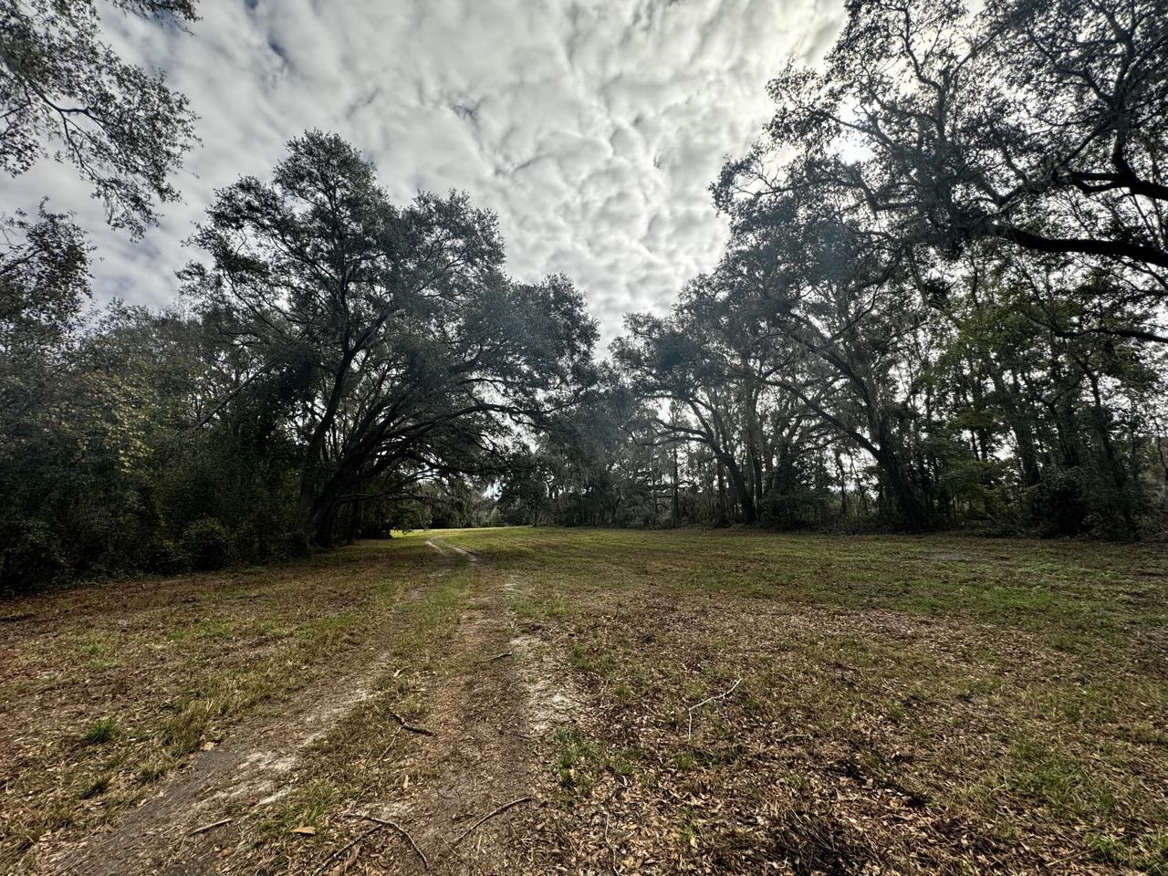 Vacant Coachwhip,MADISON,Florida 32340,Lots and land,Coachwhip,367614