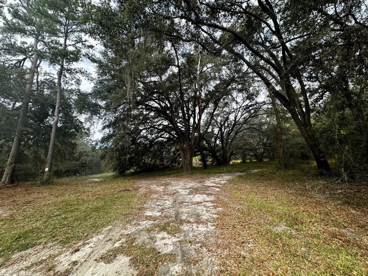 Vacant Coachwhip,MADISON,Florida 32340,Lots and land,Coachwhip,367614