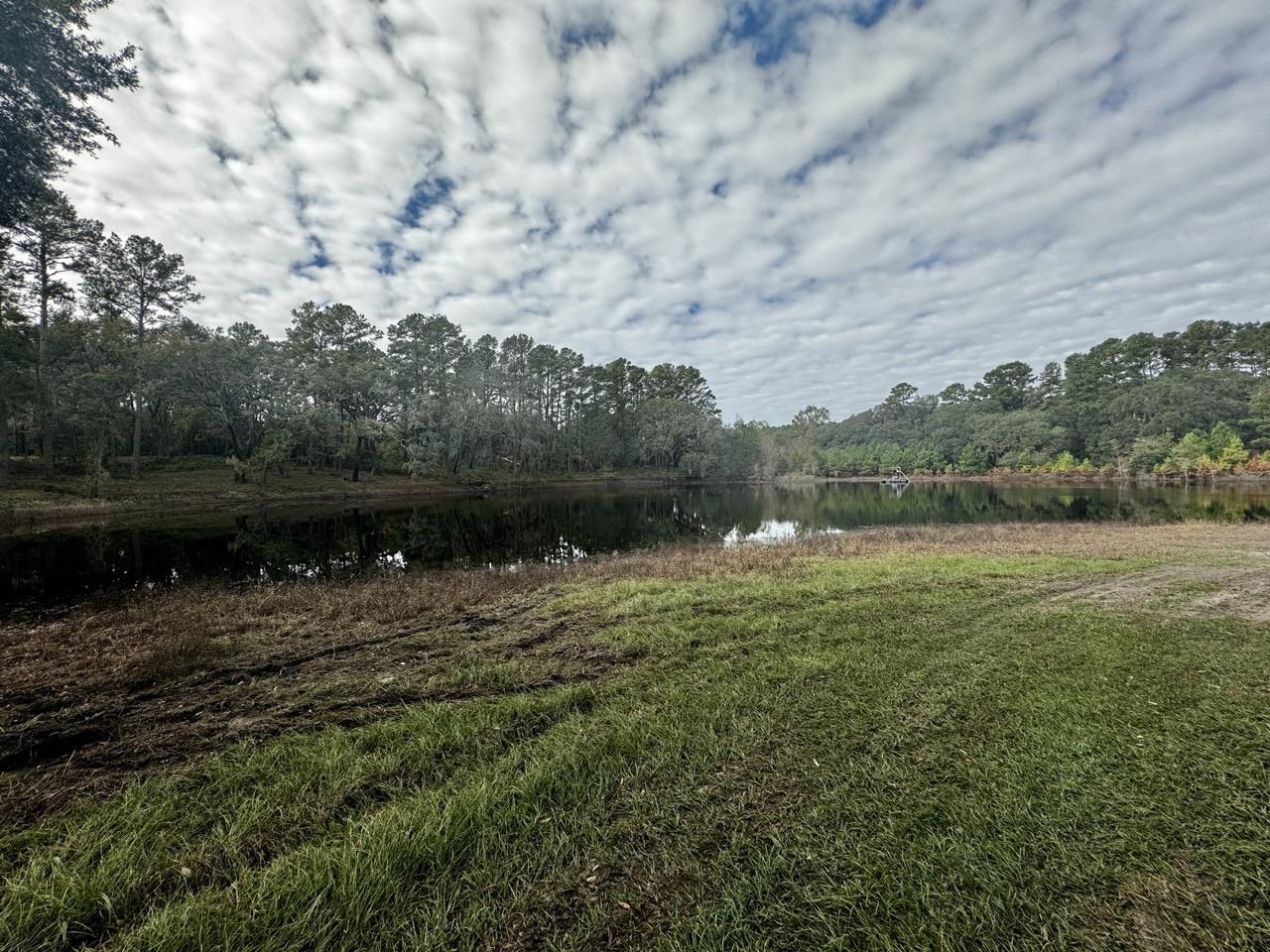 Vacant Coachwhip,MADISON,Florida 32340,Lots and land,Coachwhip,367614