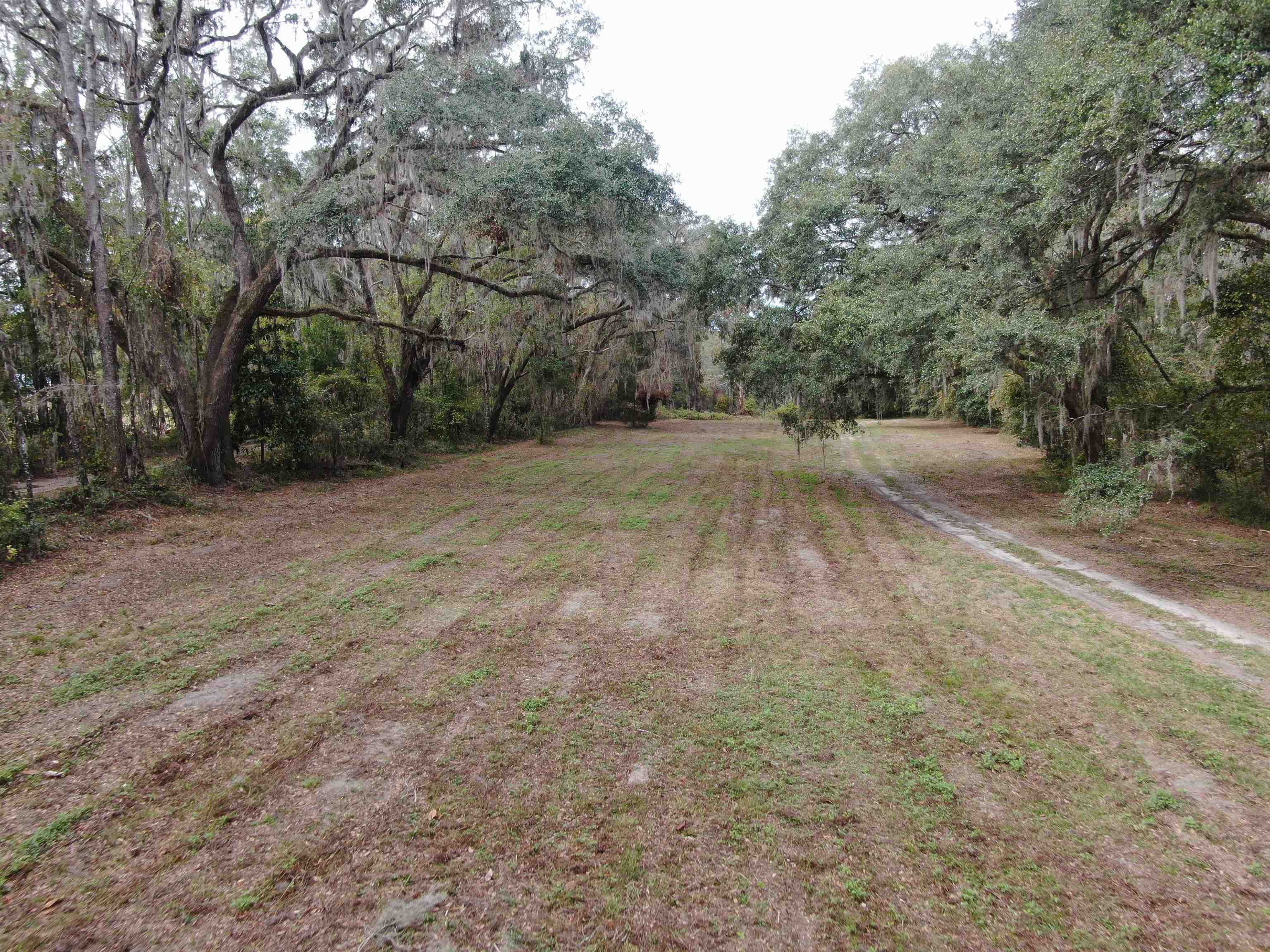 Vacant Coachwhip,MADISON,Florida 32340,Lots and land,Coachwhip,367614