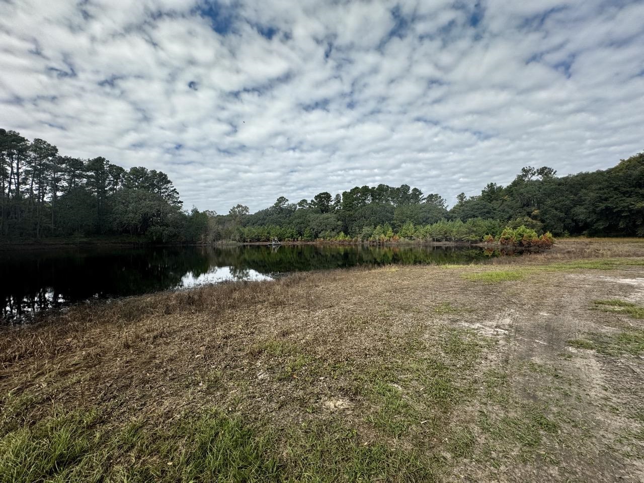 Vacant Coachwhip,MADISON,Florida 32340,Lots and land,Coachwhip,367614