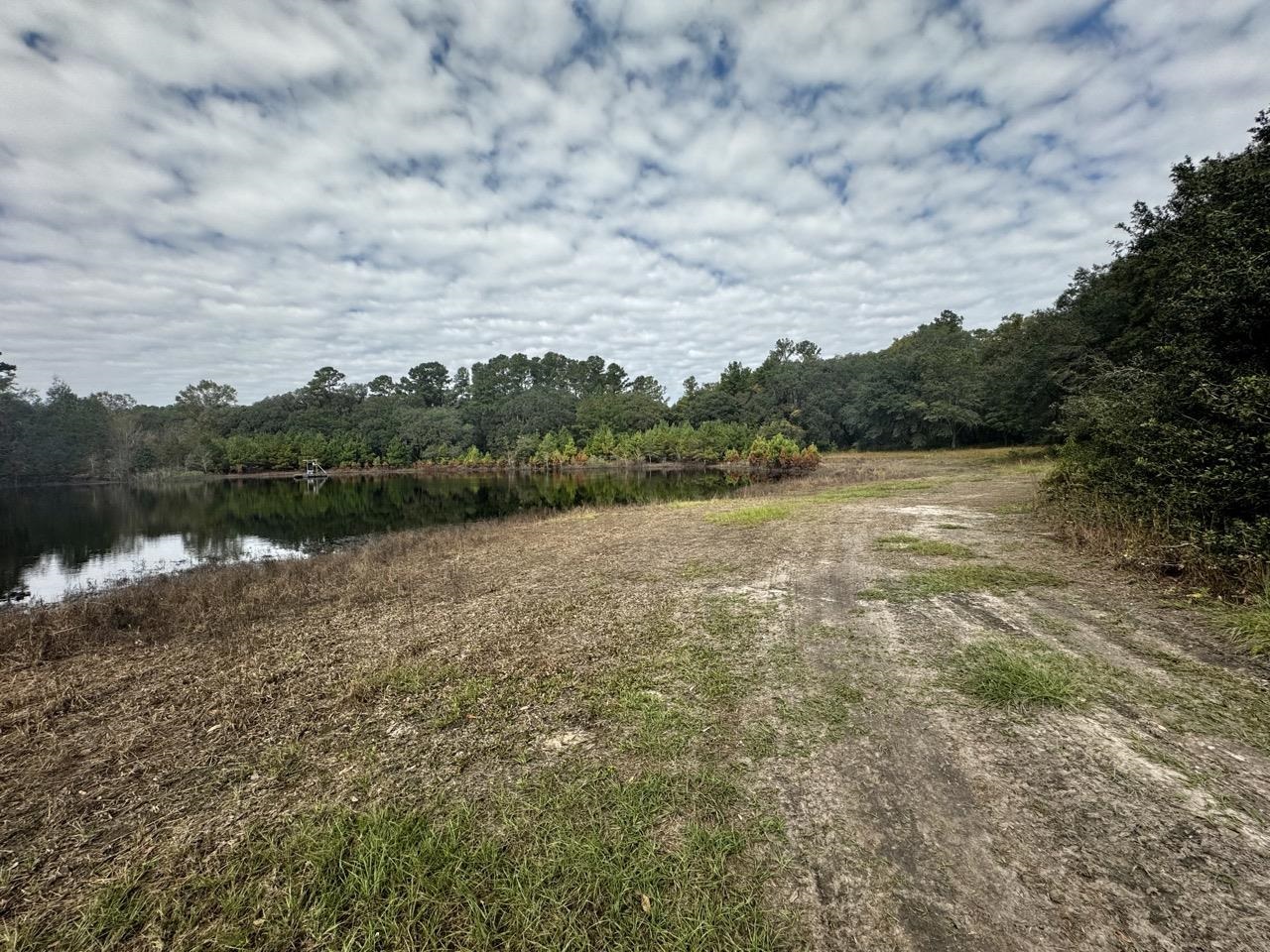 Vacant Coachwhip,MADISON,Florida 32340,Lots and land,Coachwhip,367614