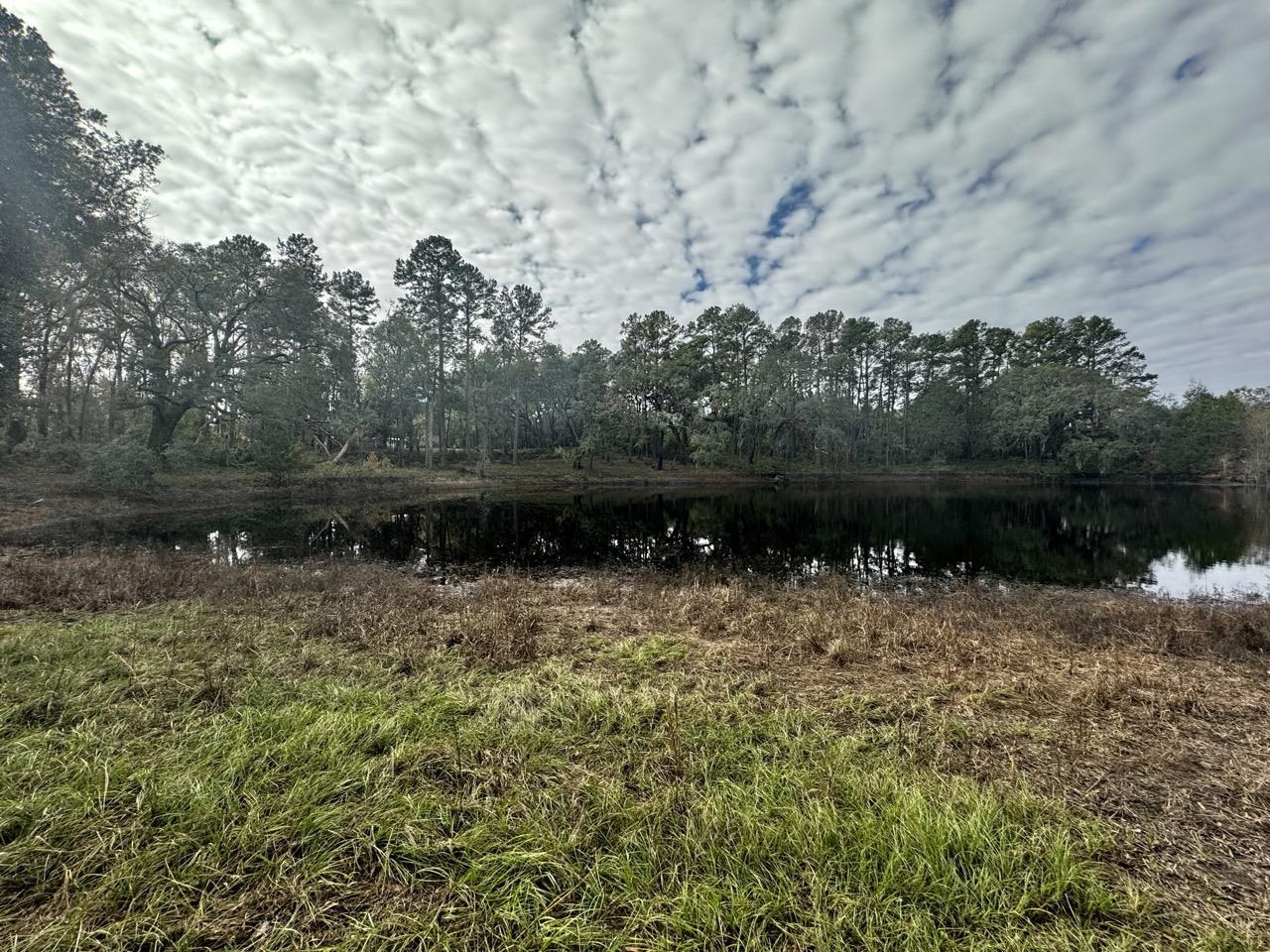 Vacant Coachwhip,MADISON,Florida 32340,Lots and land,Coachwhip,367614