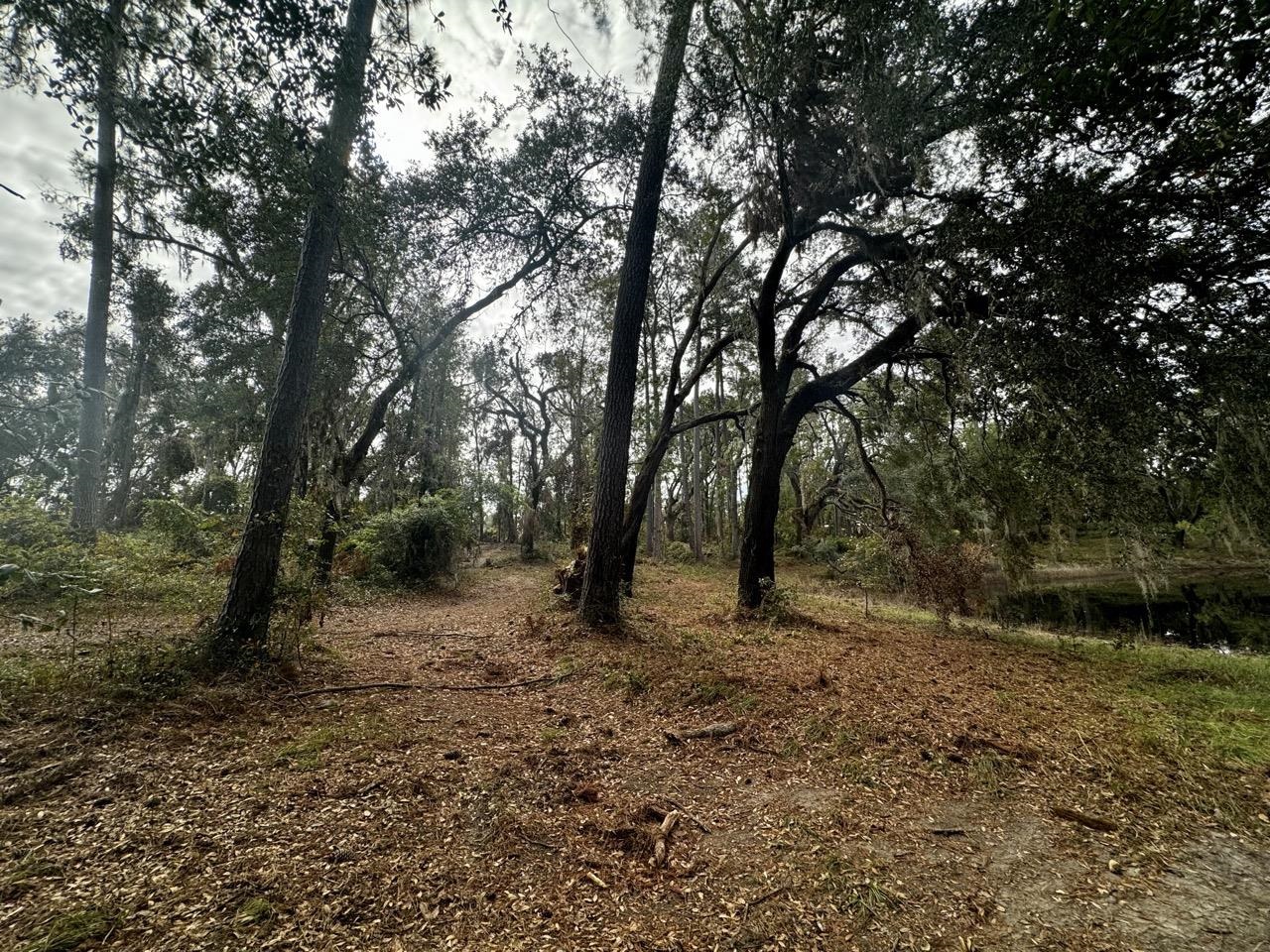 Vacant Coachwhip,MADISON,Florida 32340,Lots and land,Coachwhip,367614