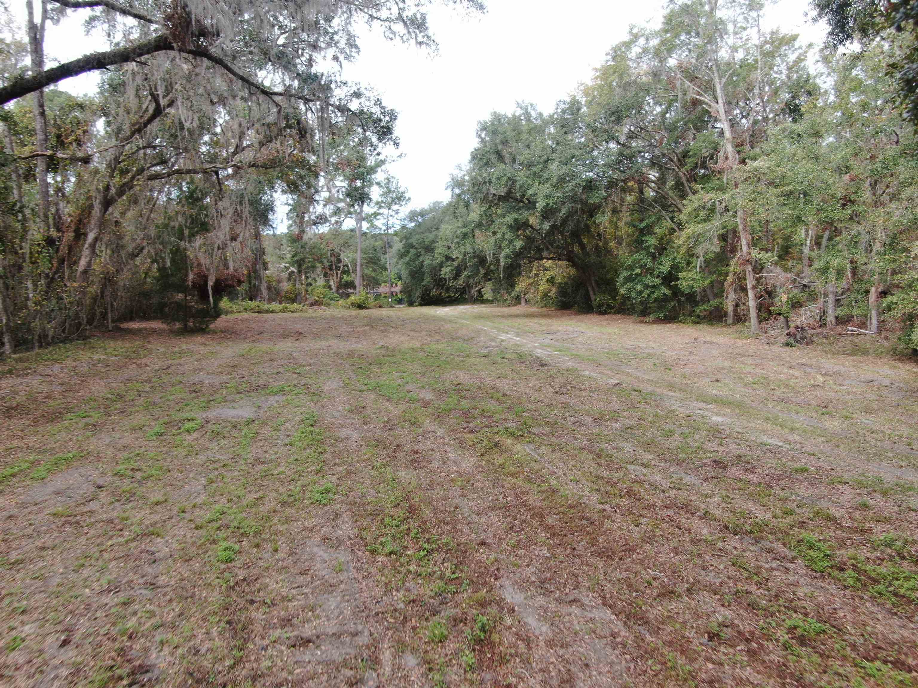 Vacant Coachwhip,MADISON,Florida 32340,Lots and land,Coachwhip,367614