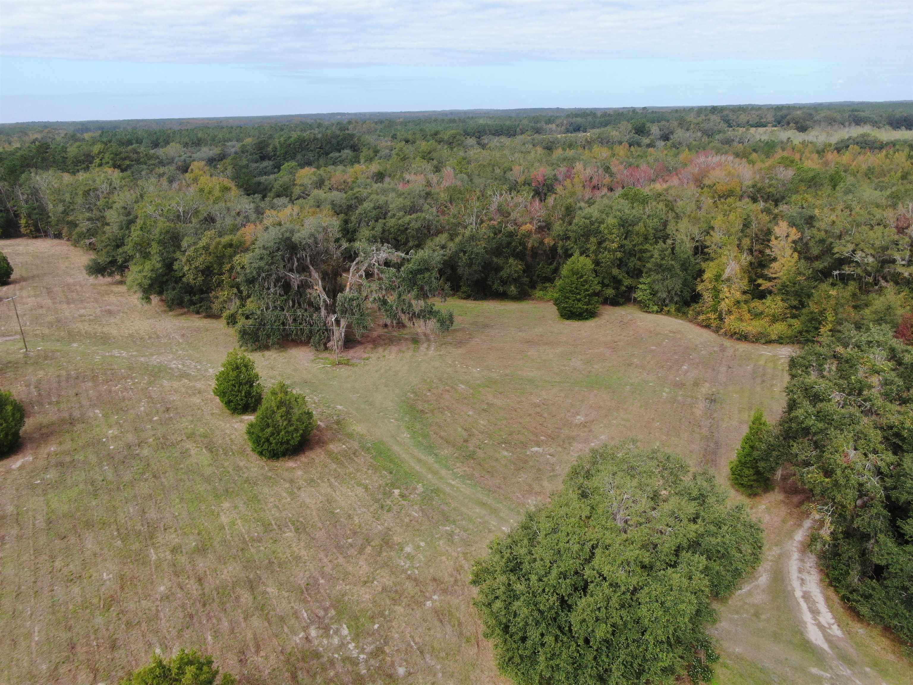 Vacant Coachwhip,MADISON,Florida 32340,Lots and land,Coachwhip,367614