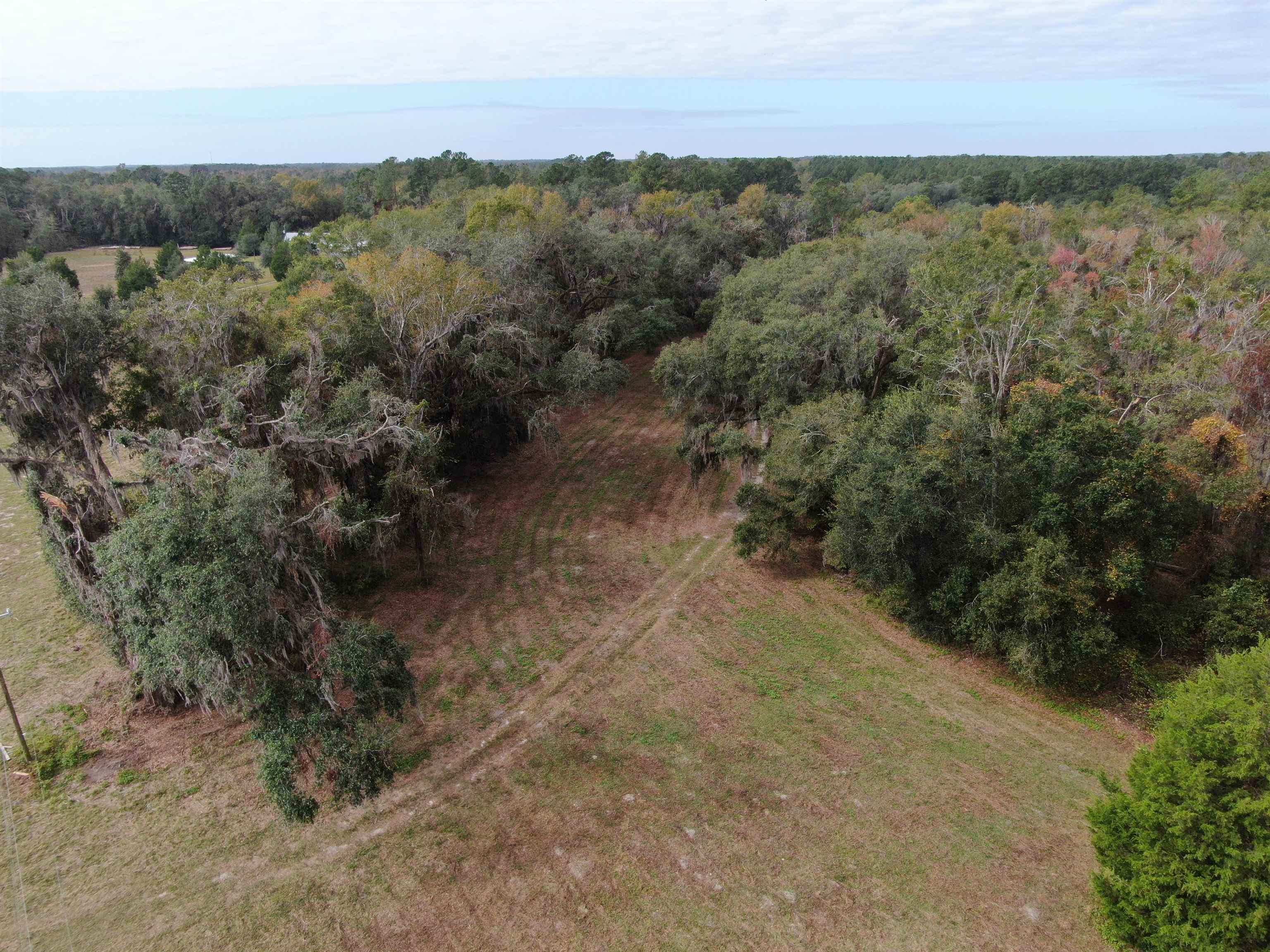 Vacant Coachwhip,MADISON,Florida 32340,Lots and land,Coachwhip,367614