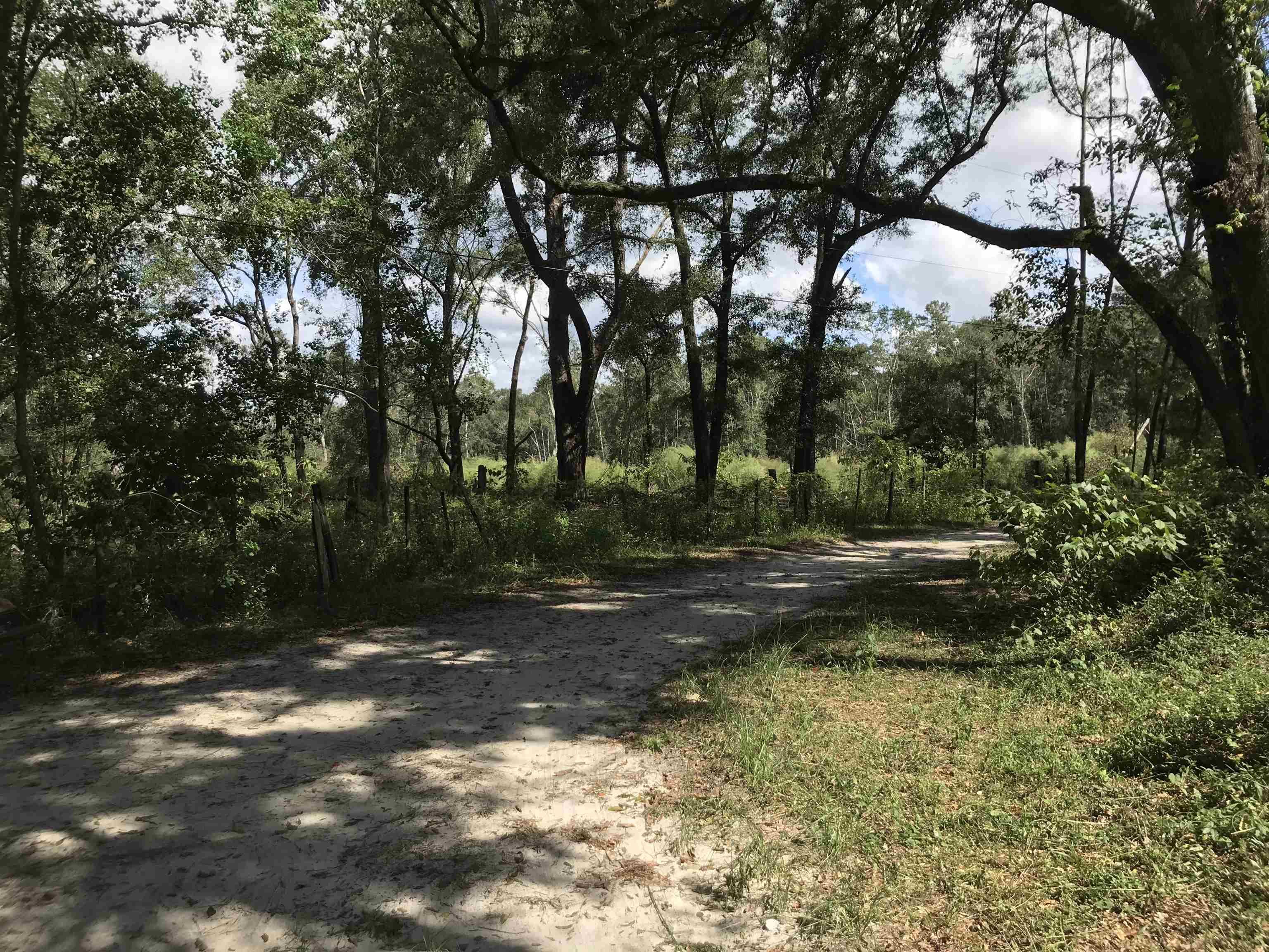 4778 EMANUEL,TALLAHASSEE,Florida 32303,Lots and land,EMANUEL,367660