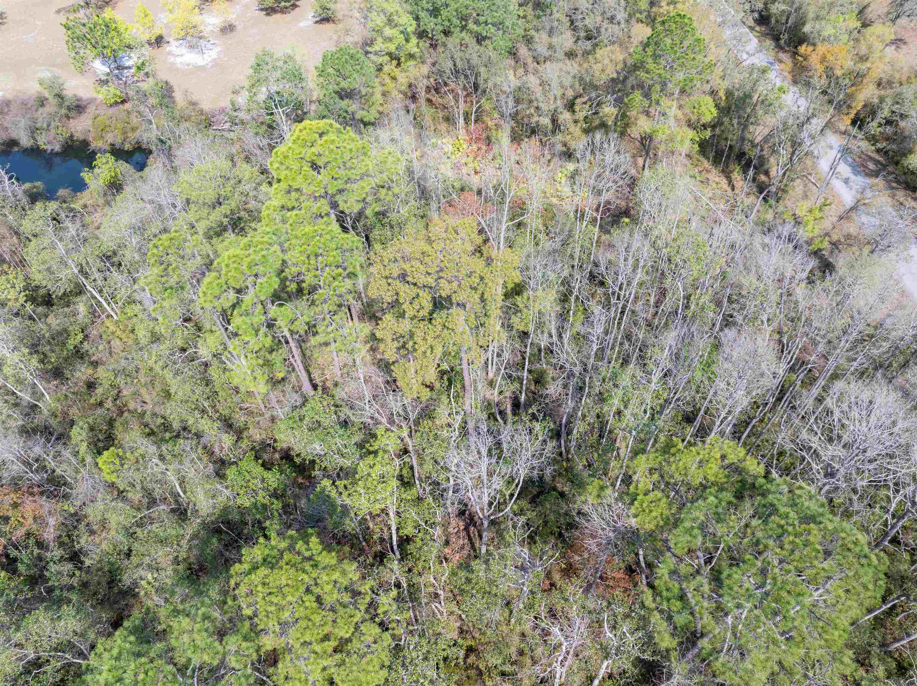 3445 Preston Sheffield,PERRY,Florida 32347,Lots and land,Preston Sheffield,369761