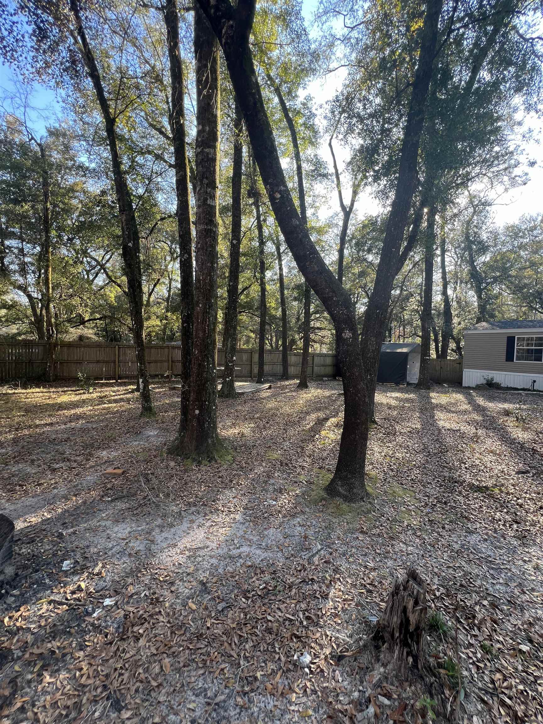 4282 W Bark Drive,TALLAHASSEE,Florida 32305,2 Bedrooms Bedrooms,2 BathroomsBathrooms,Manuf/mobile home,4282 W Bark Drive,368815