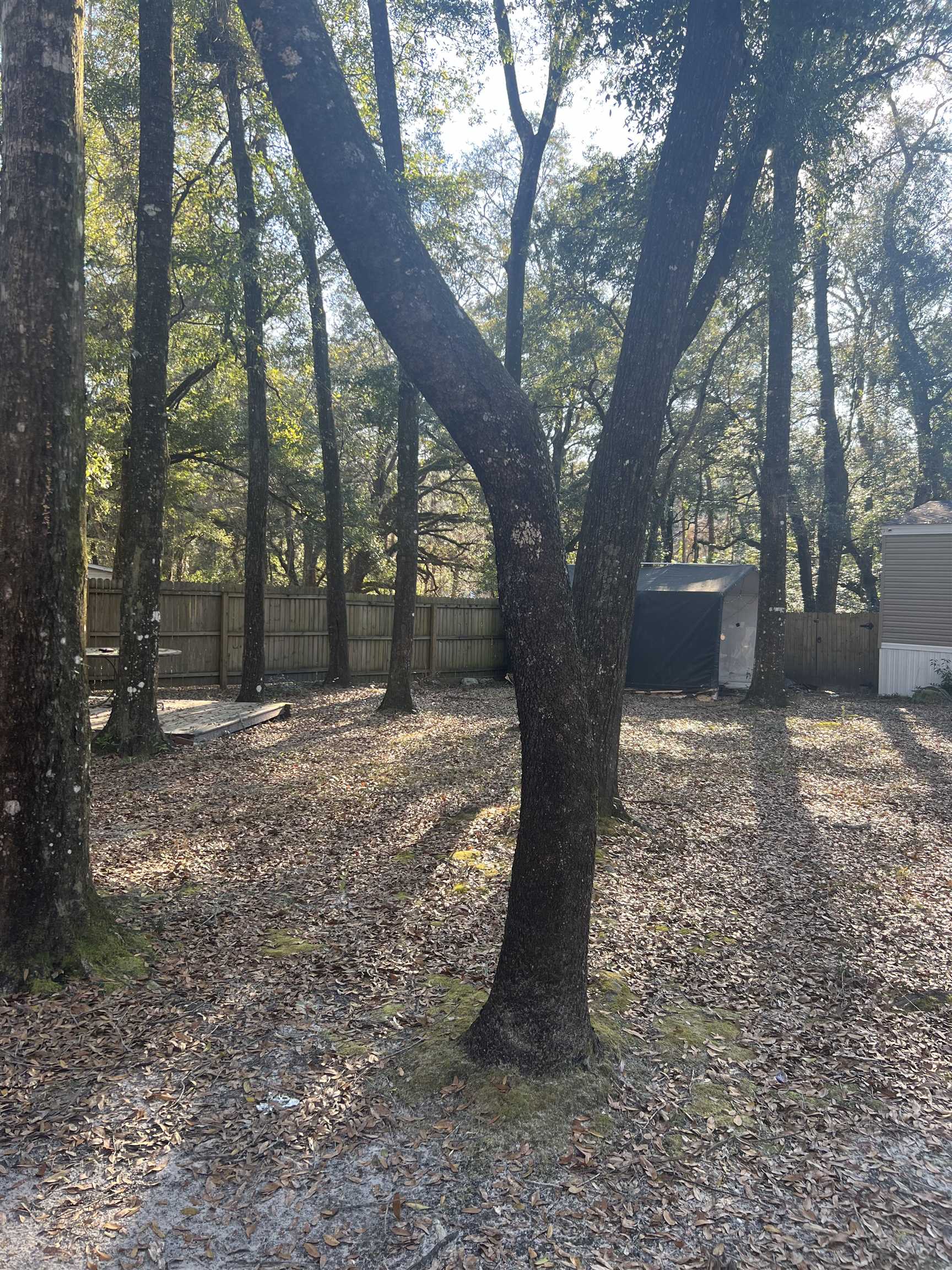 4282 W Bark Drive,TALLAHASSEE,Florida 32305,2 Bedrooms Bedrooms,2 BathroomsBathrooms,Manuf/mobile home,4282 W Bark Drive,368815