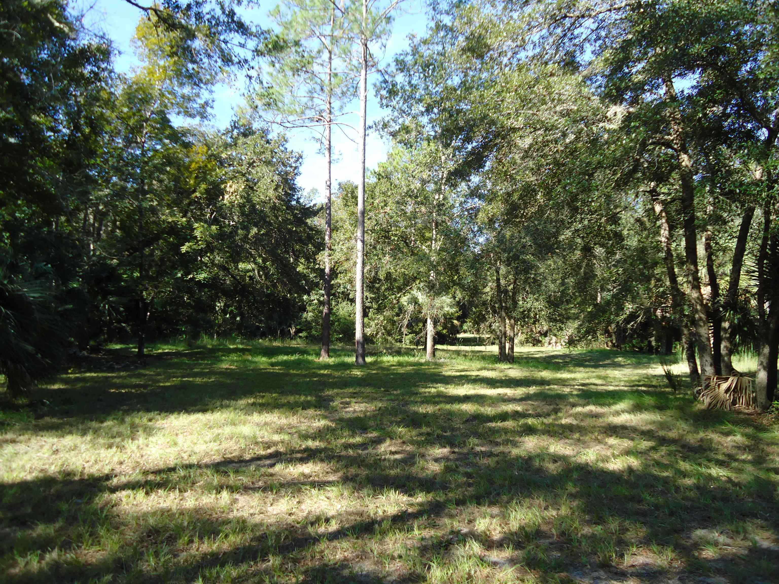 00 Econfina River Rd (CR 14),LAMONT,Florida 32336,Lots and land,Econfina River Rd (CR 14),363868